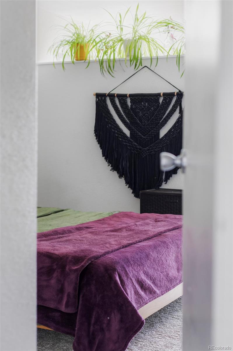 MLS Image #10 for 1050 n corona street,denver, Colorado