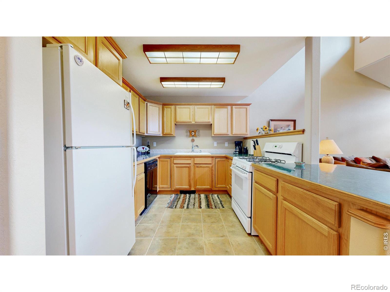 MLS Image #10 for 262  steamer court,estes park, Colorado