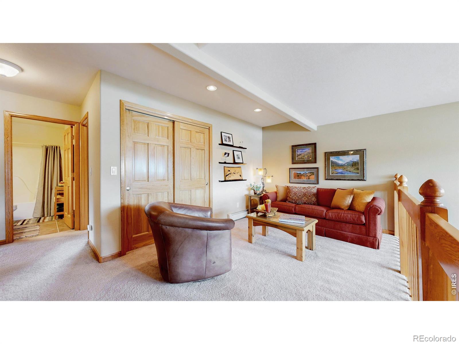 MLS Image #20 for 262  steamer court,estes park, Colorado