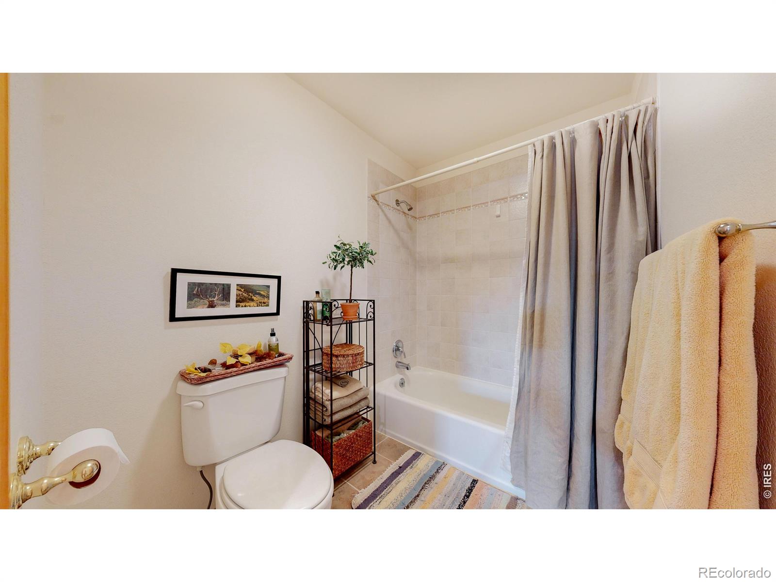 MLS Image #23 for 262  steamer court,estes park, Colorado