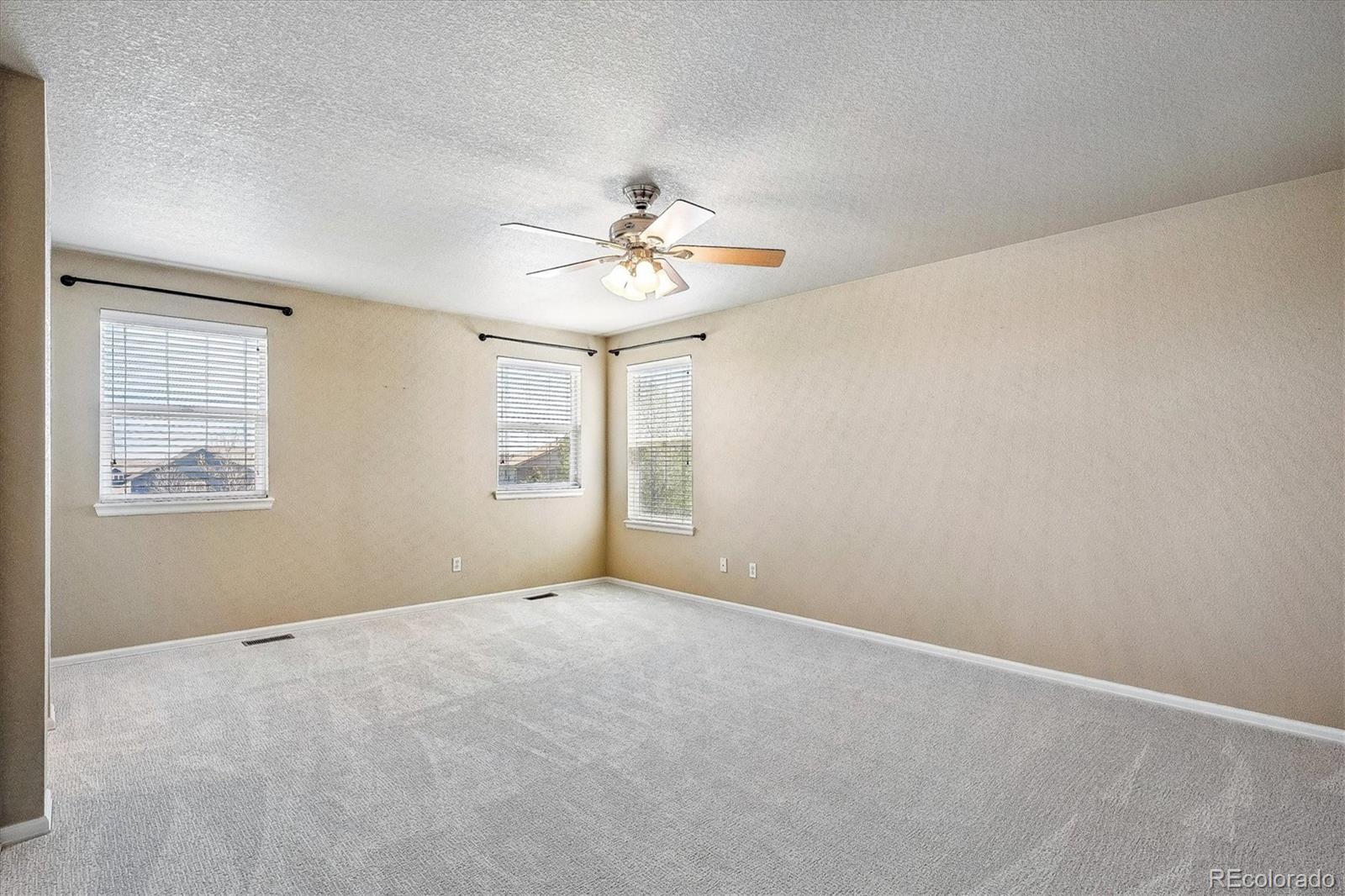 MLS Image #14 for 3625  golden spur loop,castle rock, Colorado