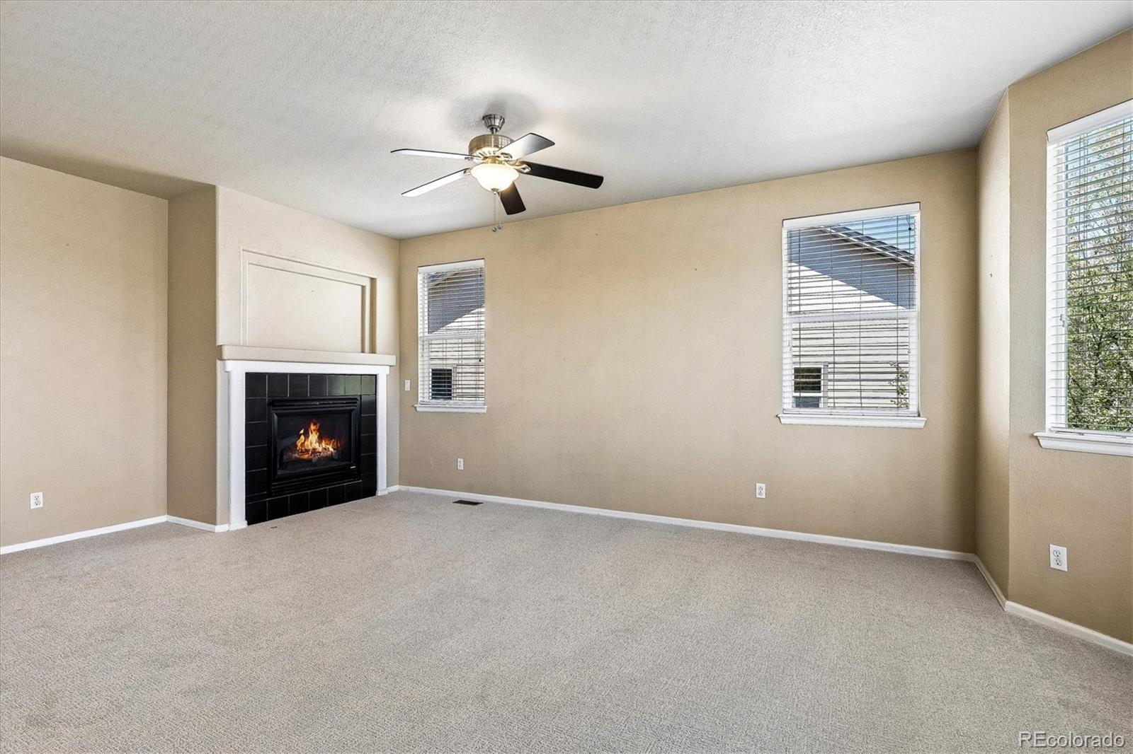 MLS Image #7 for 3625  golden spur loop,castle rock, Colorado