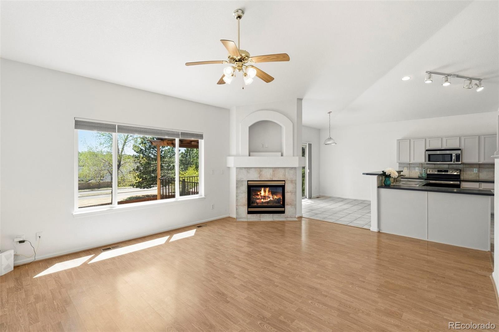 MLS Image #14 for 21810  longs peak lane,parker, Colorado