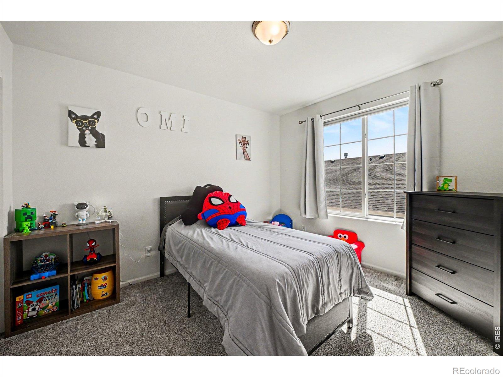 MLS Image #30 for 4282  lacewood lane,johnstown, Colorado