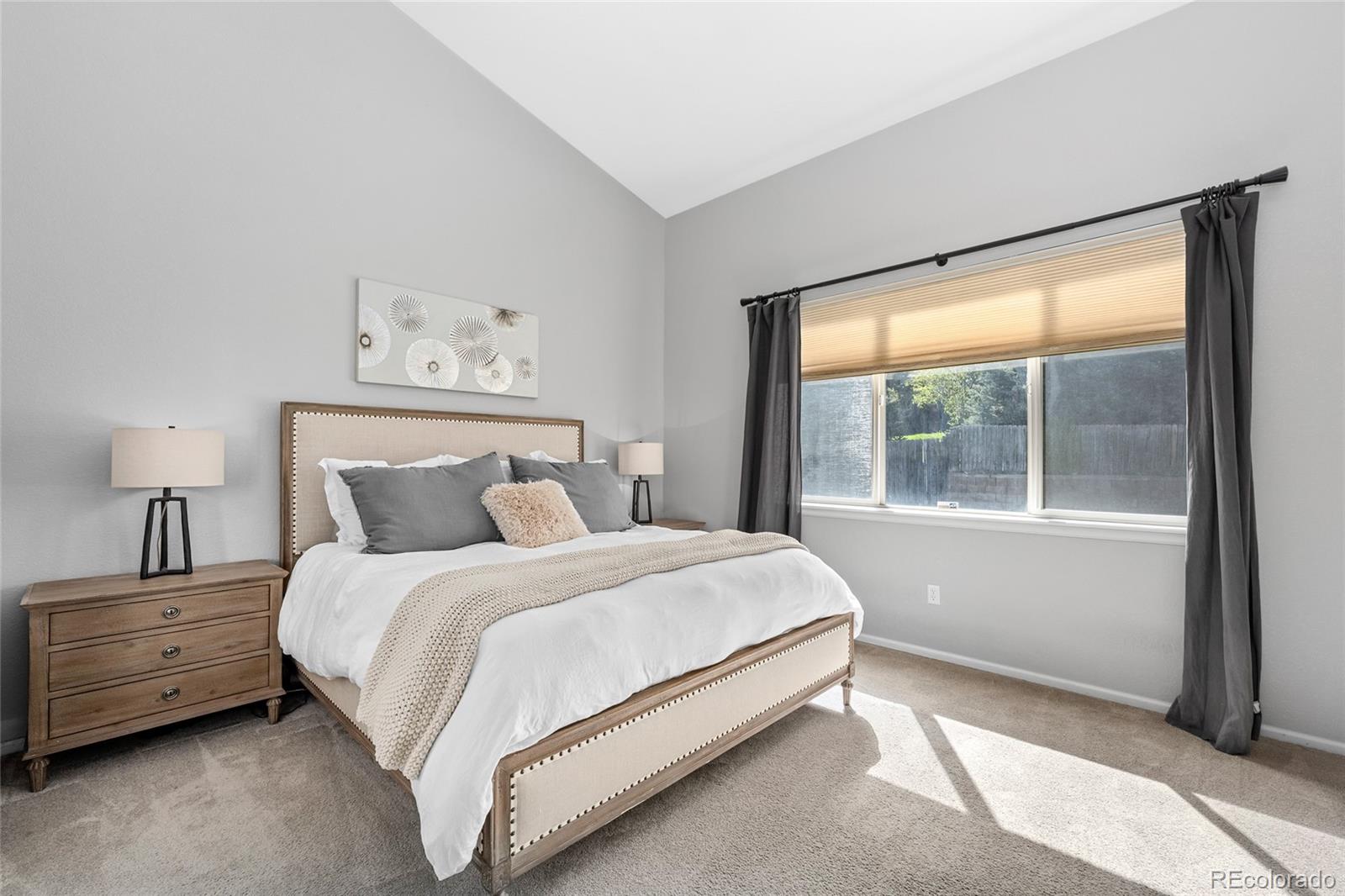 MLS Image #14 for 1002  halfmoon drive,castle rock, Colorado