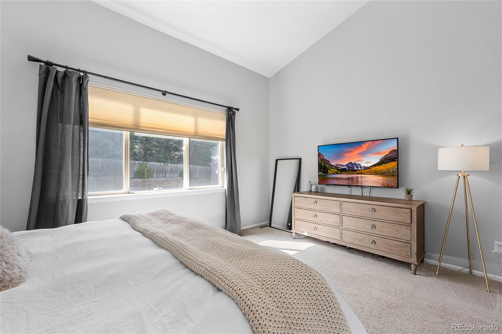 MLS Image #16 for 1002  halfmoon drive,castle rock, Colorado