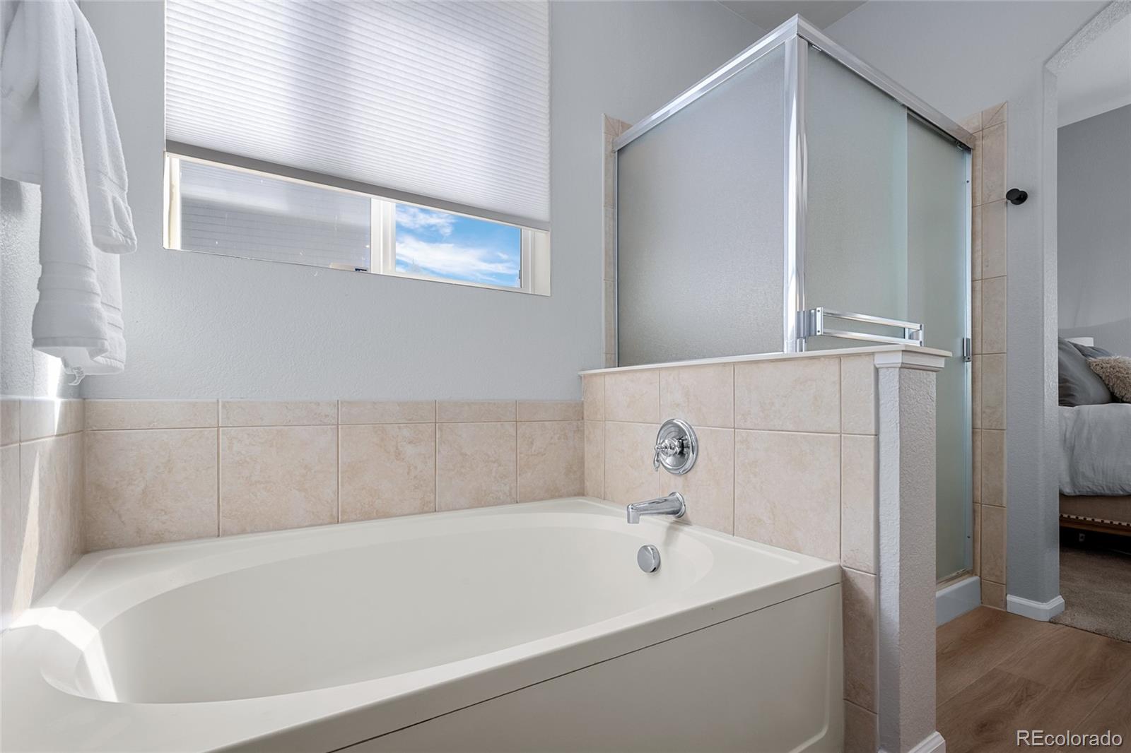 MLS Image #18 for 1002  halfmoon drive,castle rock, Colorado