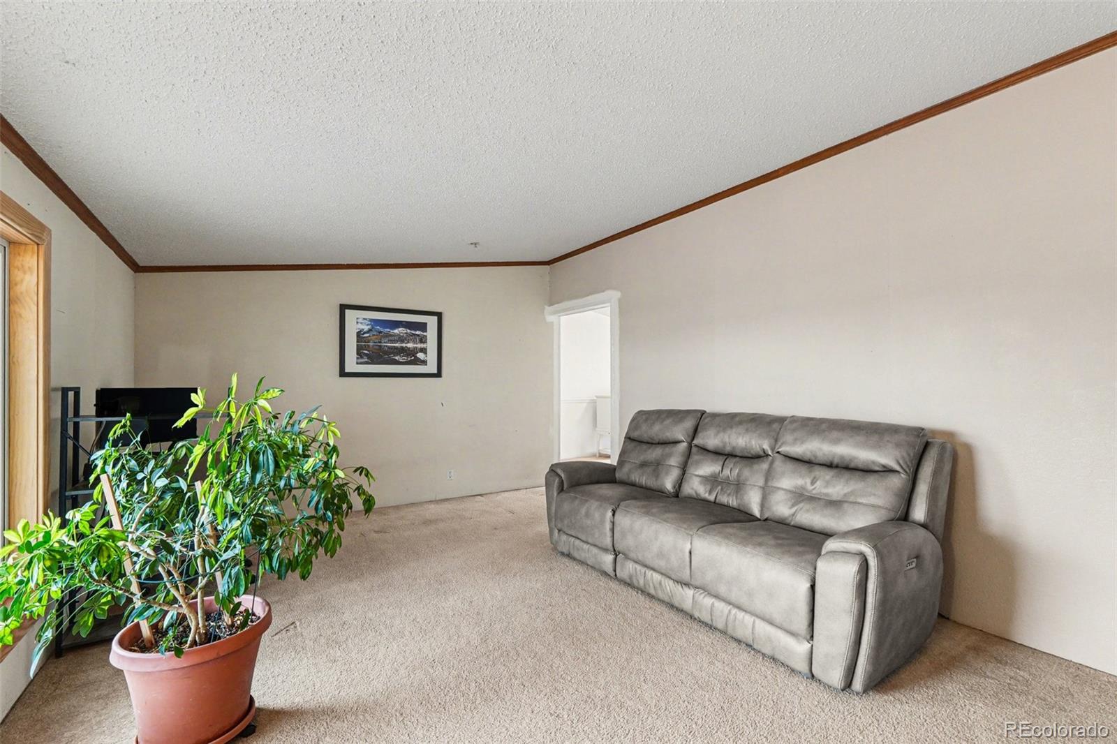 MLS Image #7 for 15925  havana way,brighton, Colorado