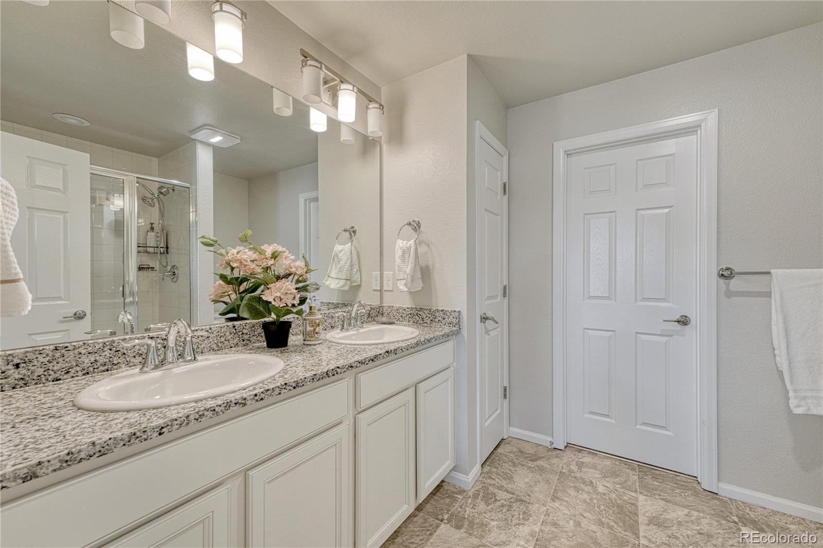 MLS Image #17 for 19278 e 64th place,denver, Colorado
