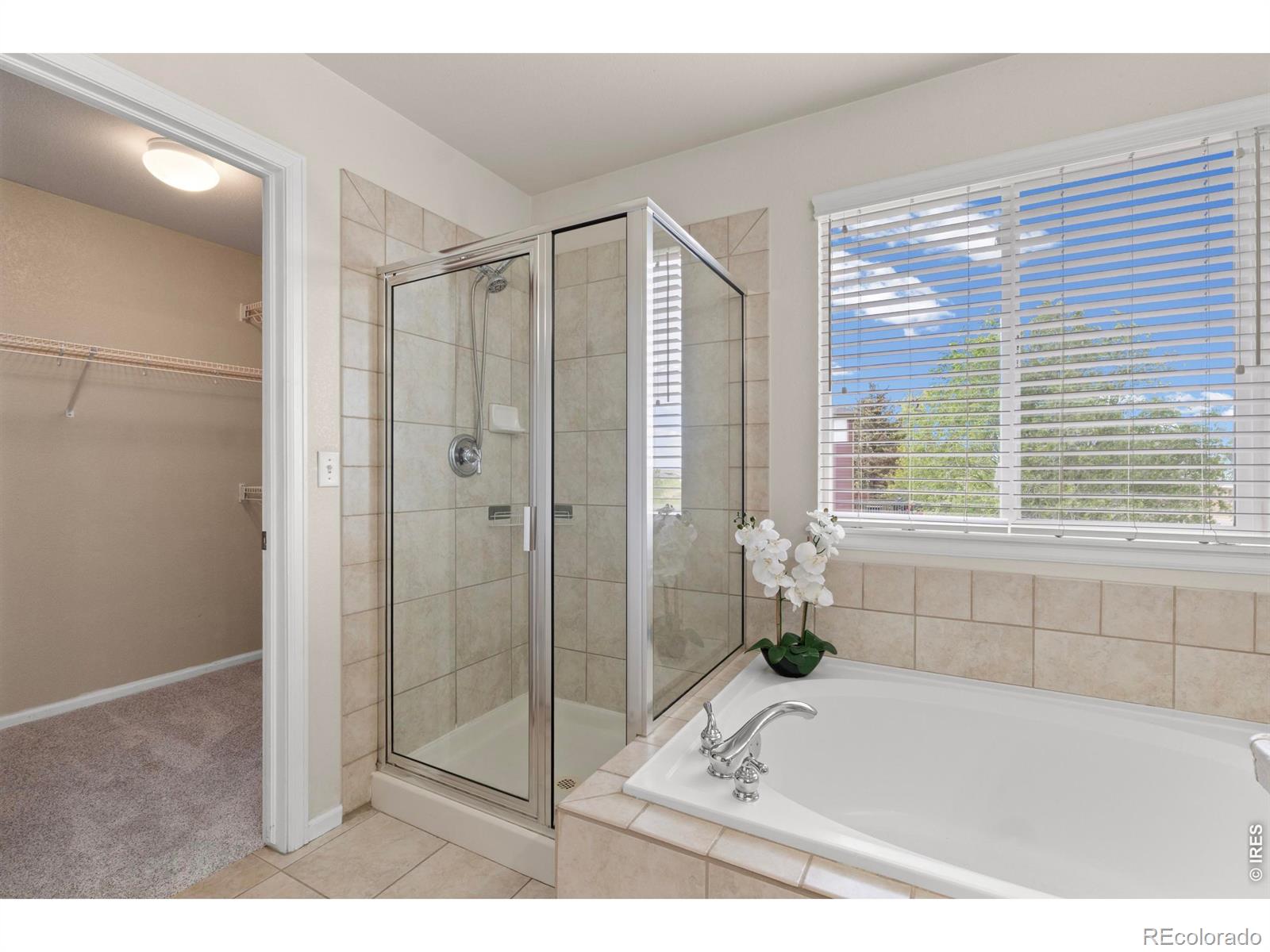 MLS Image #26 for 2626  canby way,fort collins, Colorado