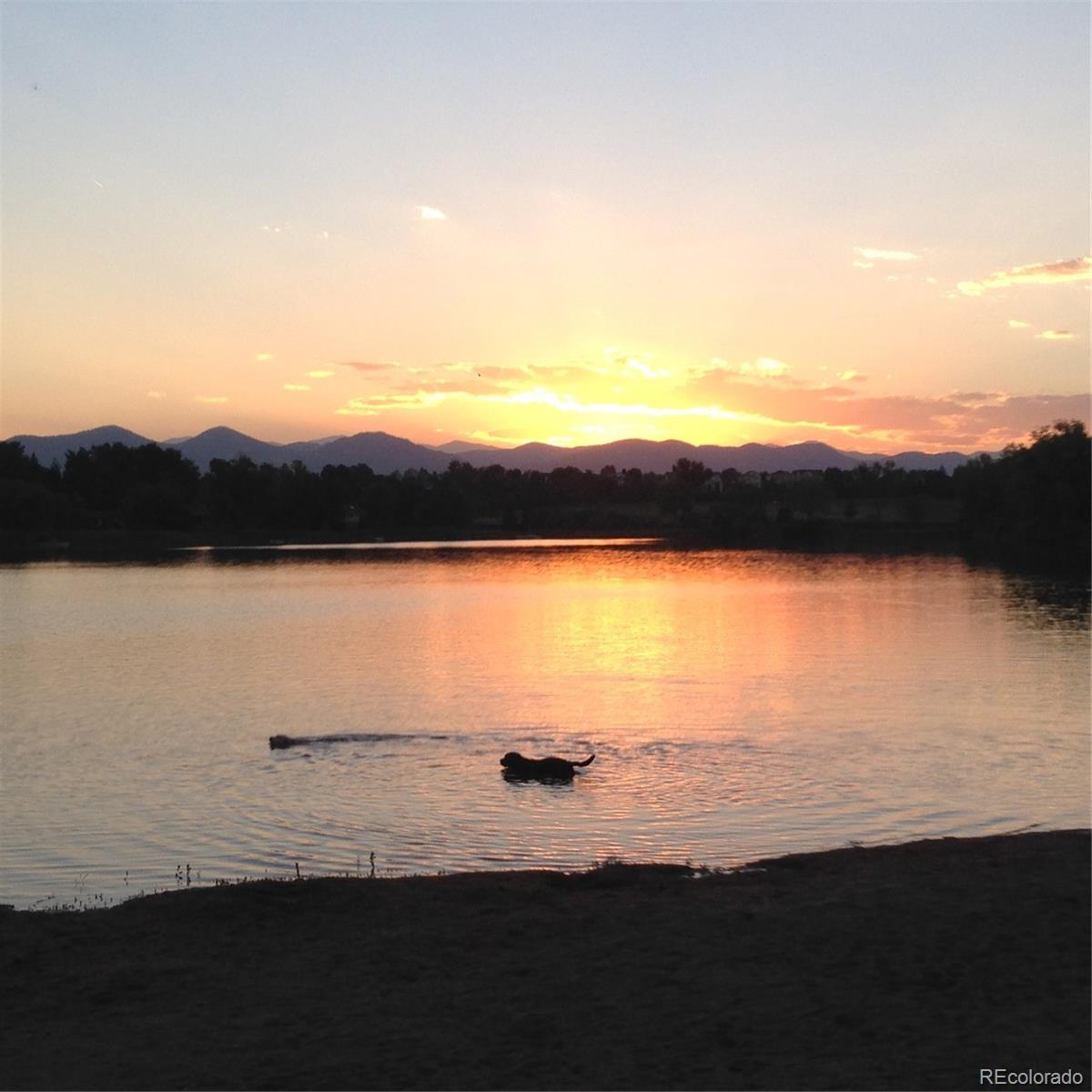 MLS Image #45 for 5730  snowberry drive,littleton, Colorado