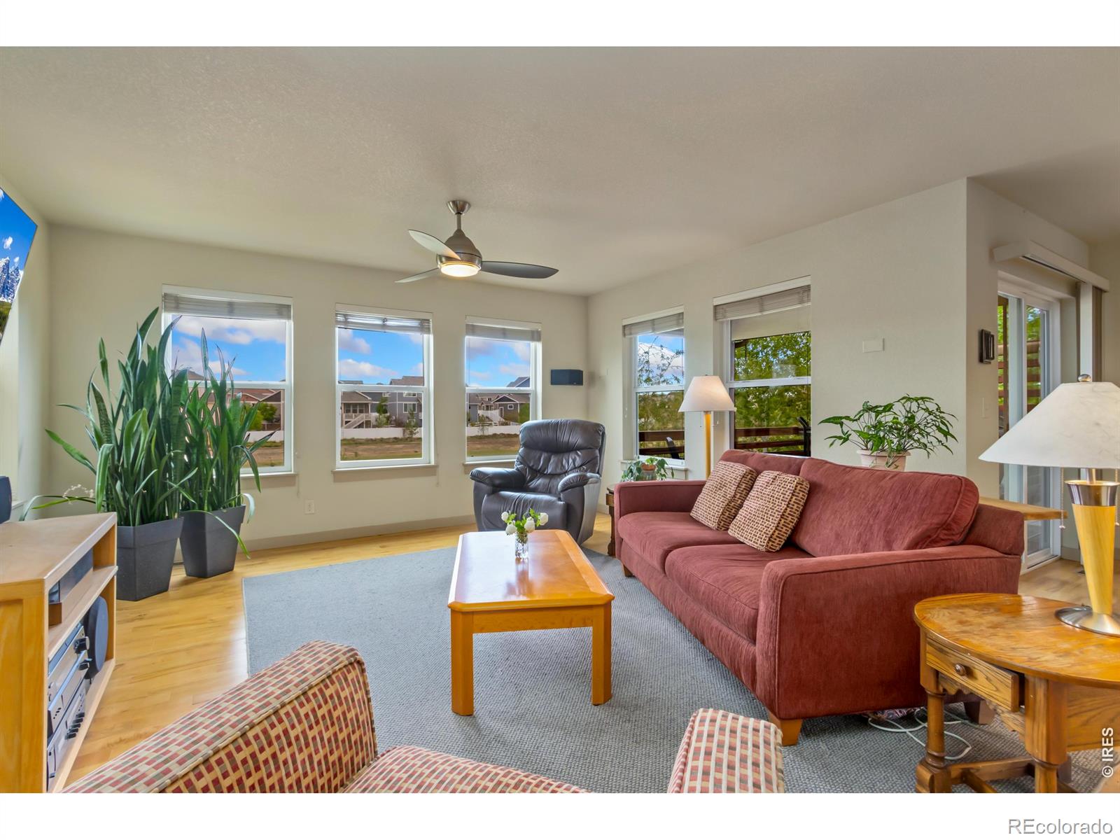 MLS Image #4 for 511  prairie clover way,severance, Colorado