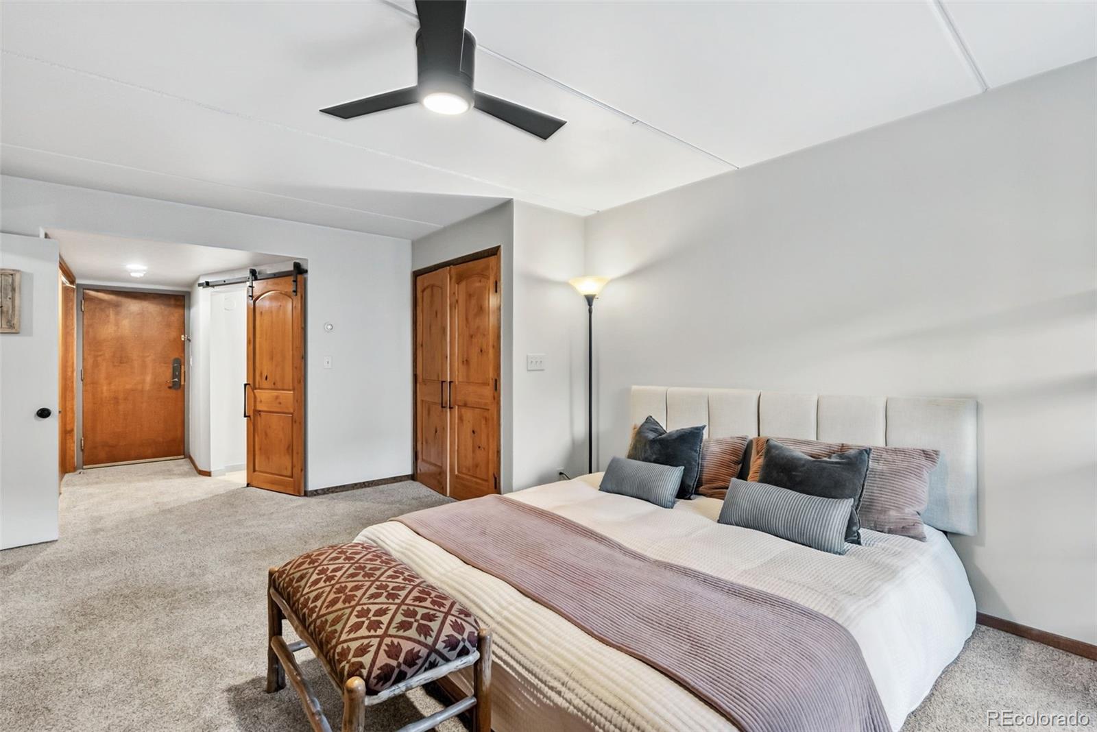 MLS Image #6 for 800  copper road,frisco, Colorado