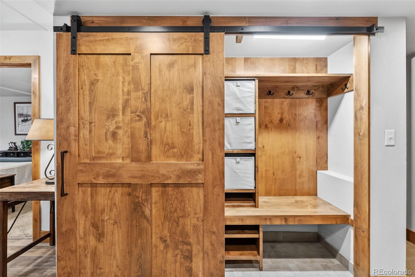 MLS Image #7 for 800  copper road,frisco, Colorado