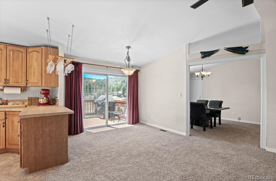 MLS Image #14 for 33626  lutes road,pine, Colorado