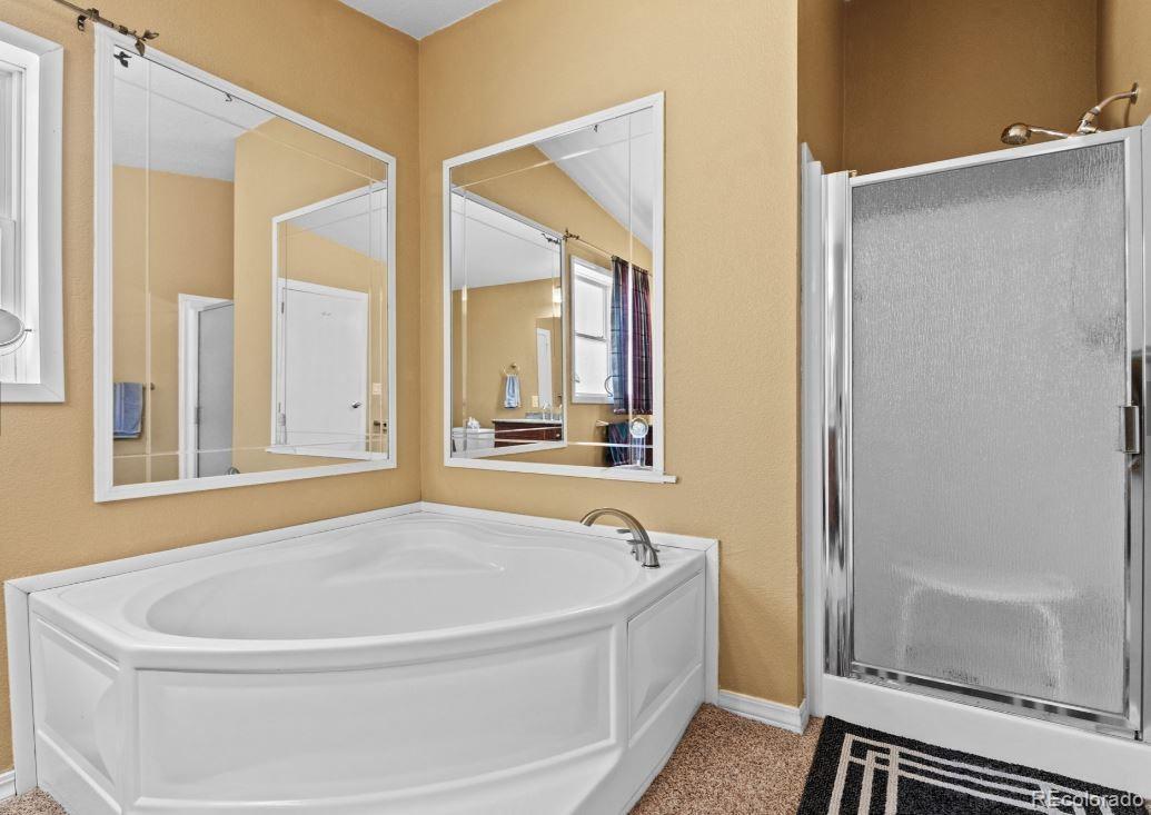 MLS Image #18 for 33626  lutes road,pine, Colorado