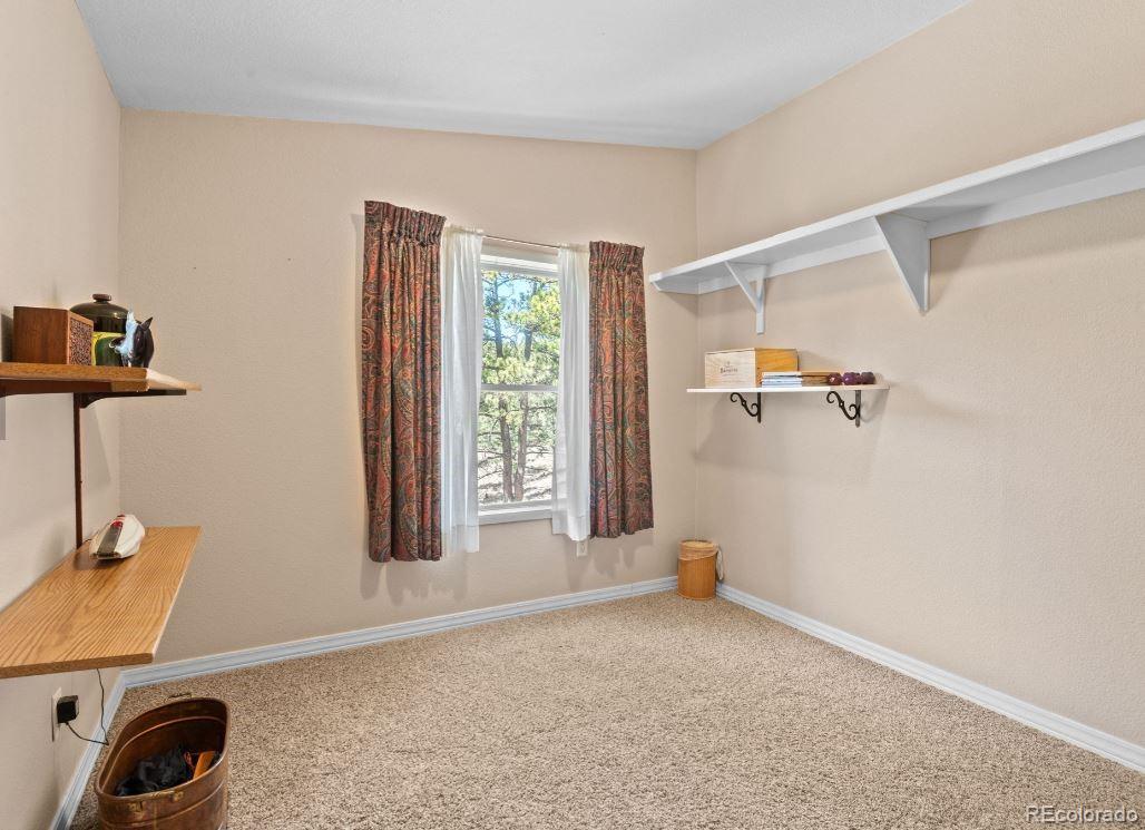 MLS Image #21 for 33626  lutes road,pine, Colorado