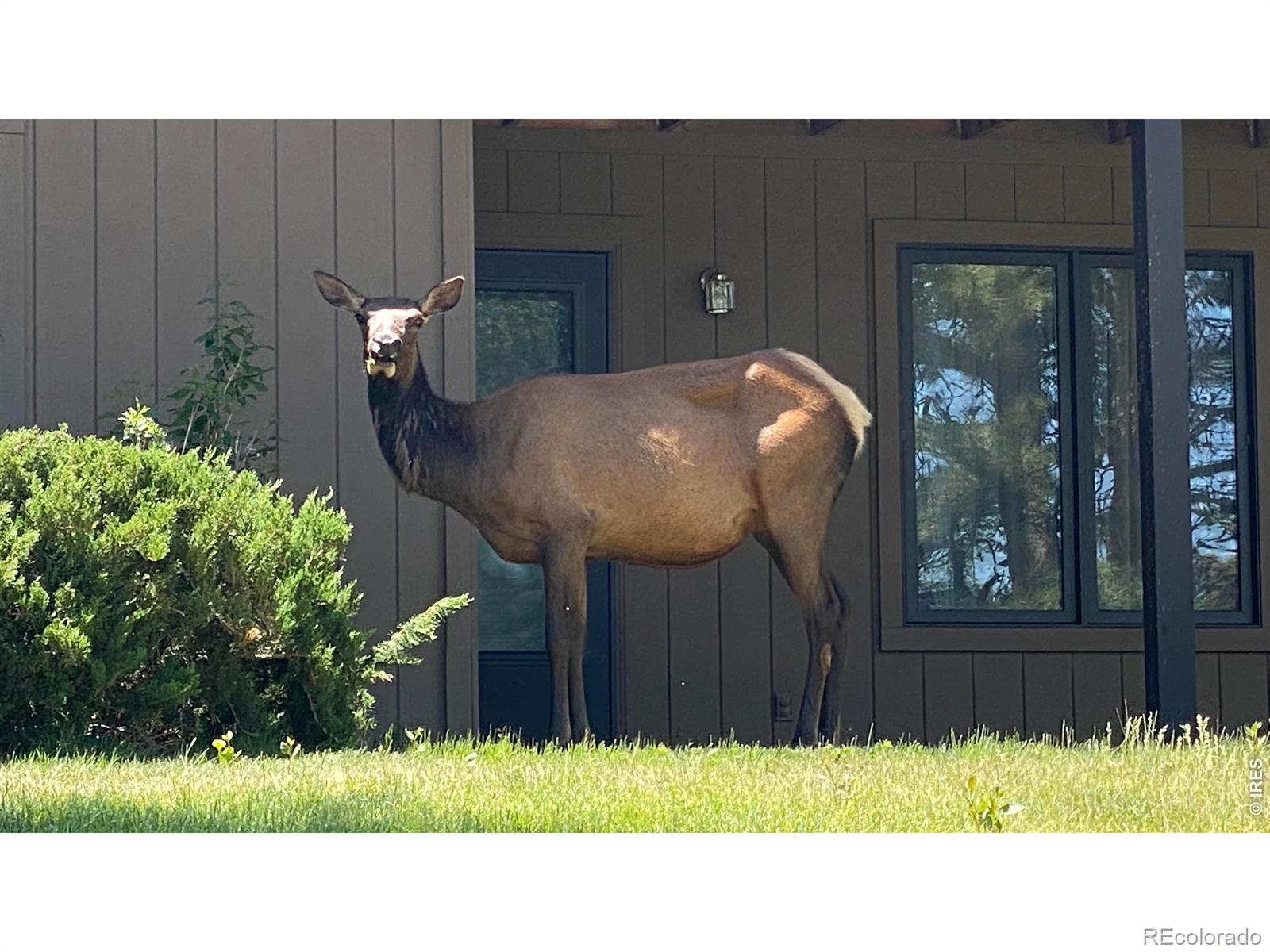 MLS Image #19 for 1141  fairway club circle,estes park, Colorado