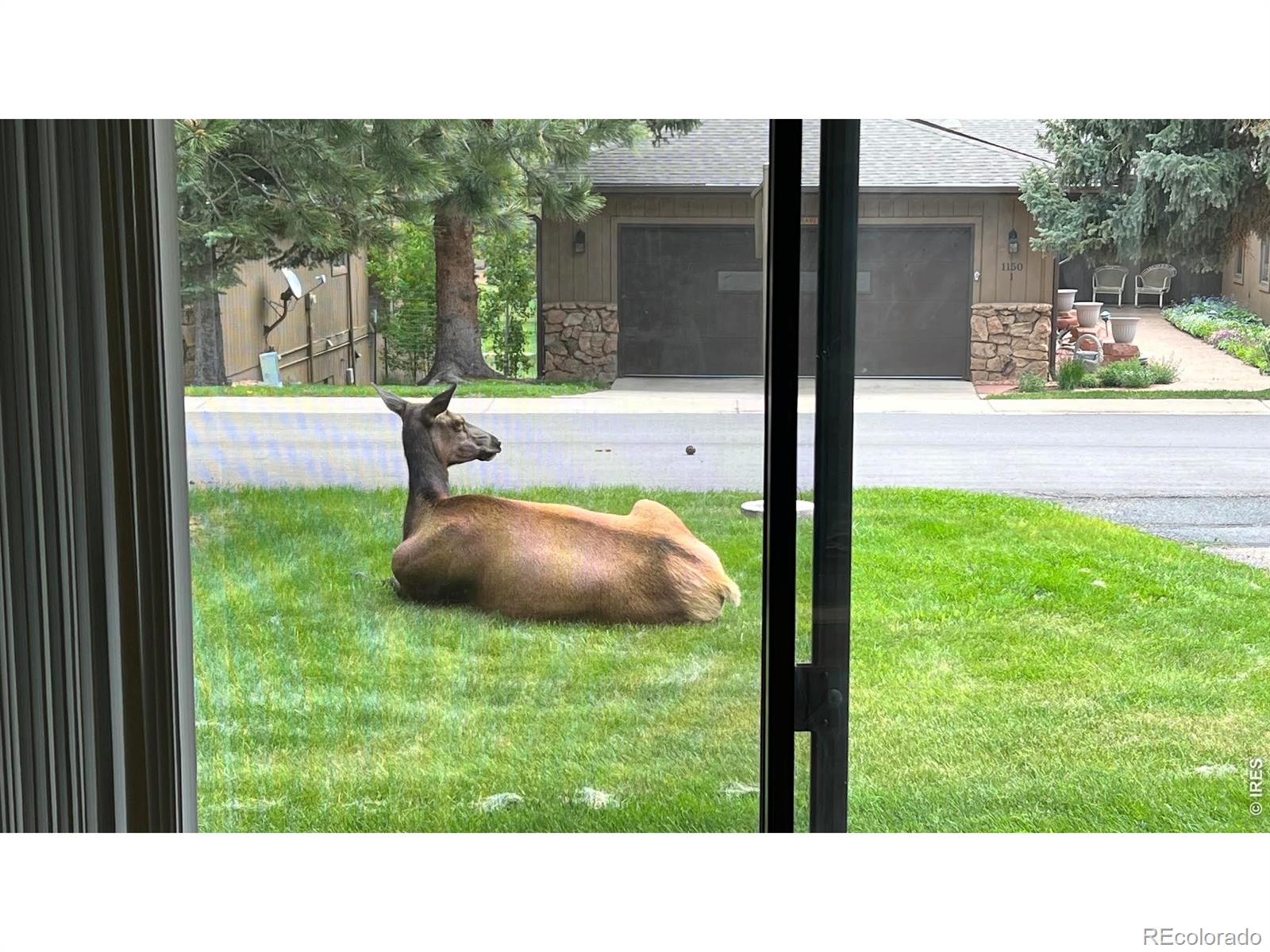 MLS Image #7 for 1141  fairway club circle,estes park, Colorado