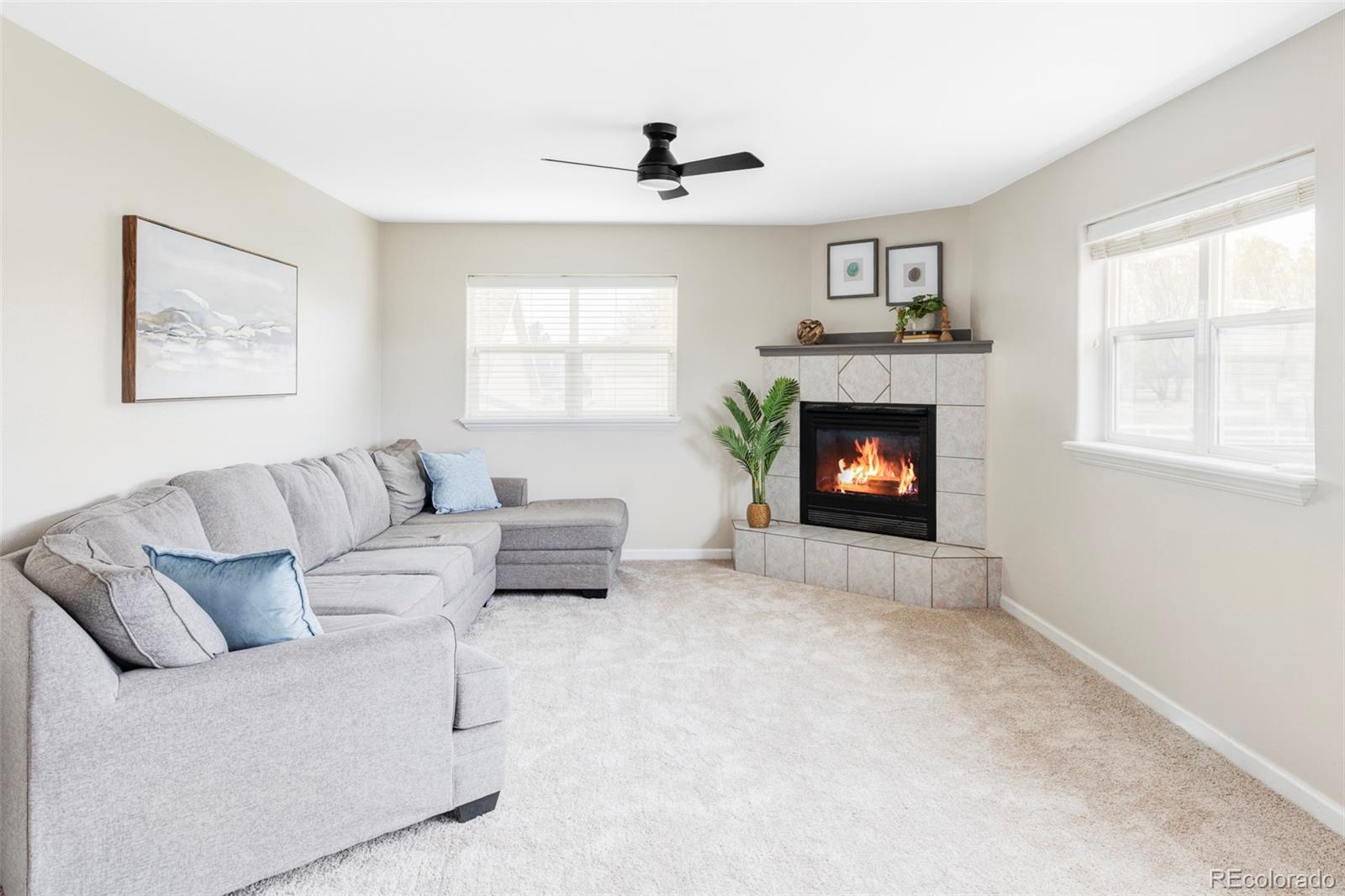 MLS Image #11 for 212  mulligan lake drive,mead, Colorado