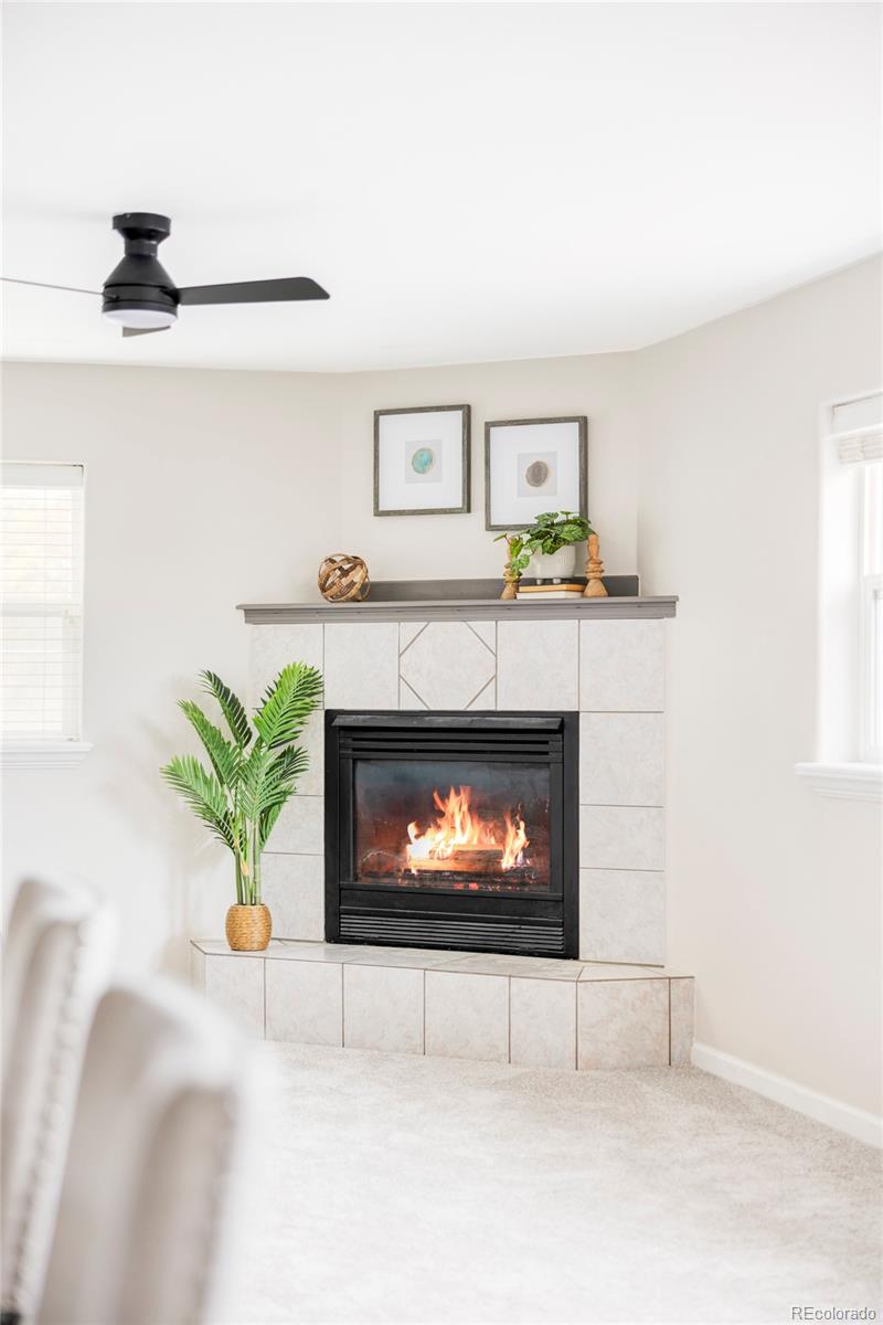 MLS Image #12 for 212  mulligan lake drive,mead, Colorado