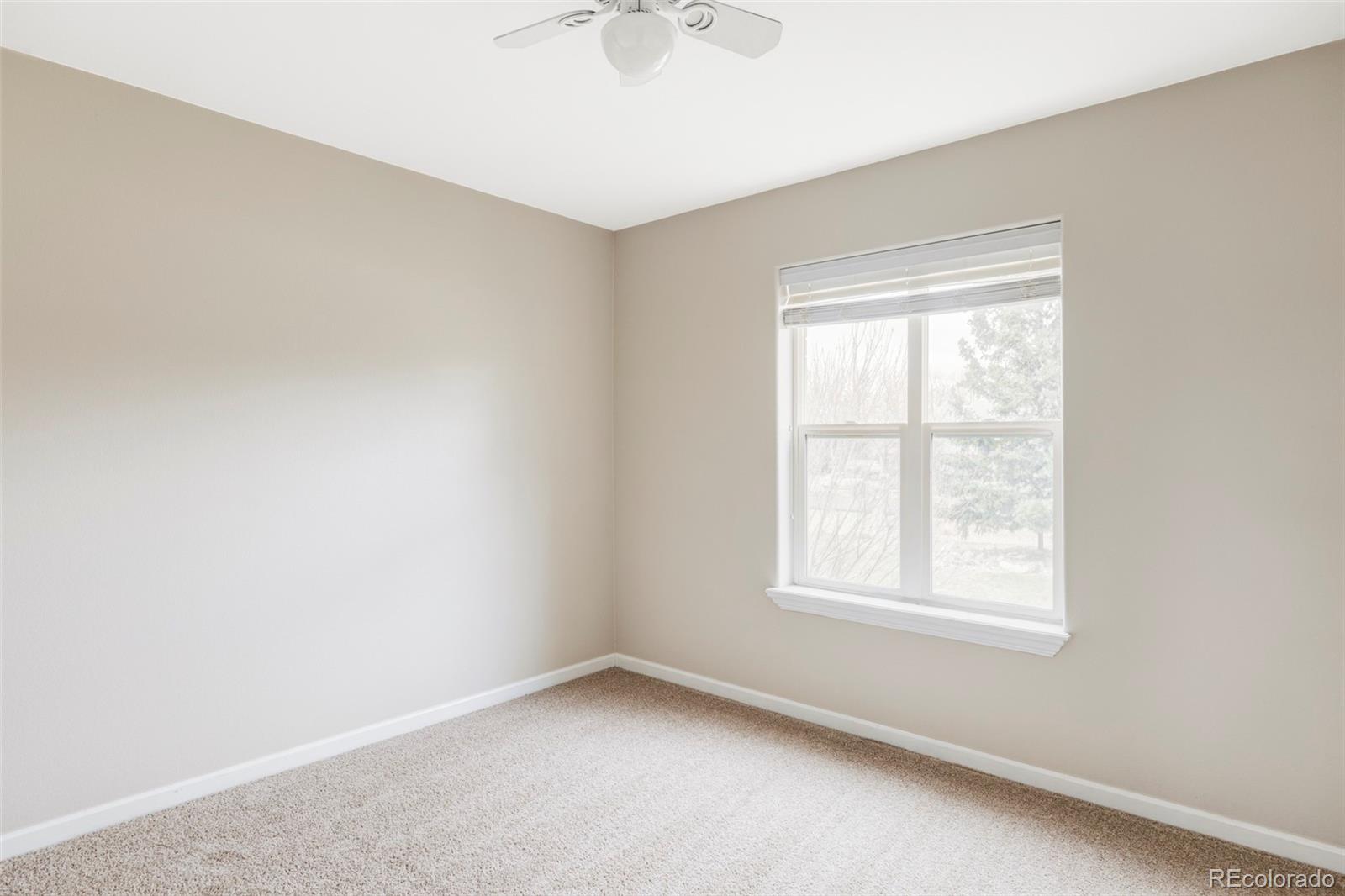 MLS Image #19 for 212  mulligan lake drive,mead, Colorado