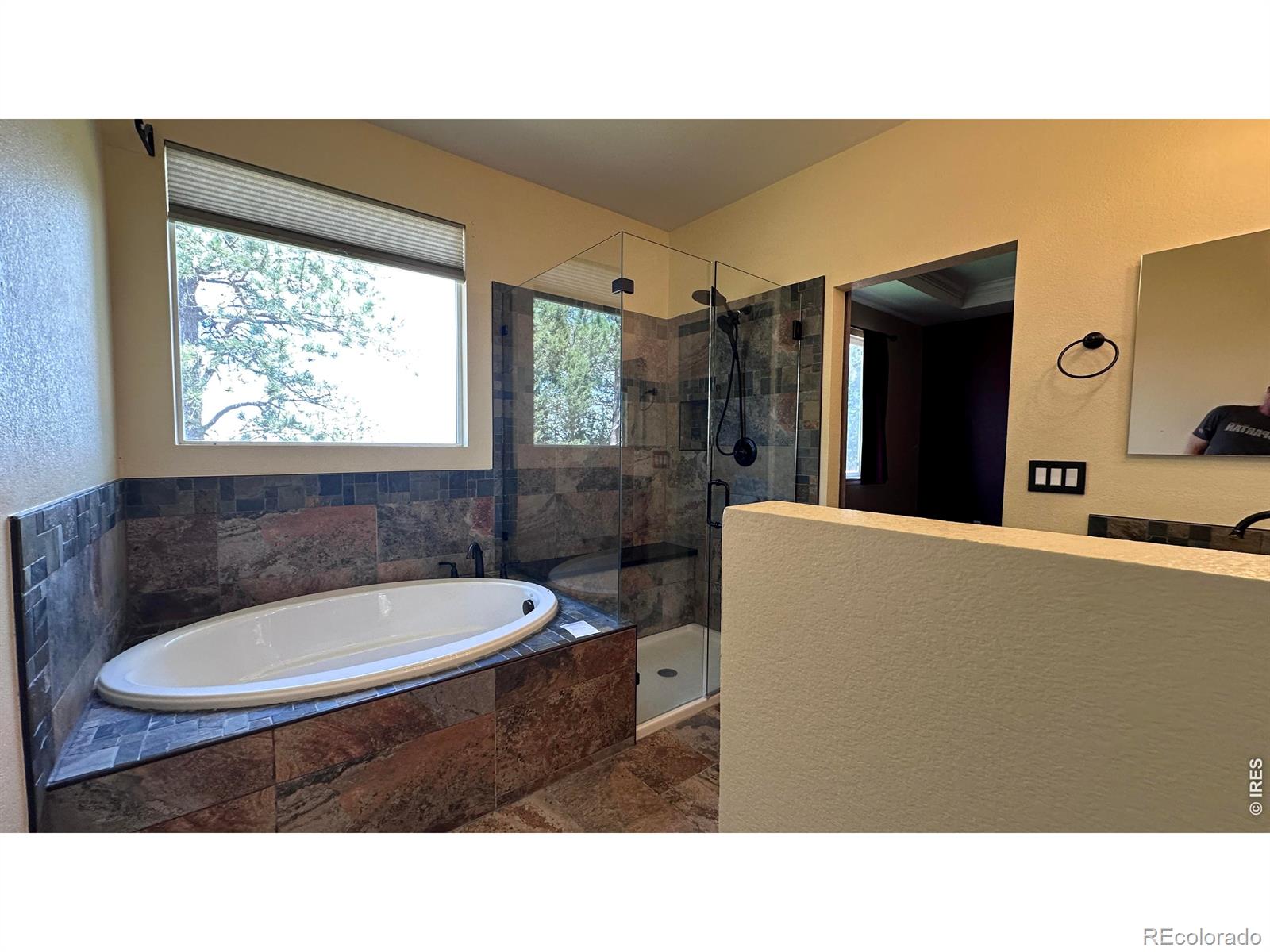 MLS Image #10 for 3162  lower loop drive,fort collins, Colorado
