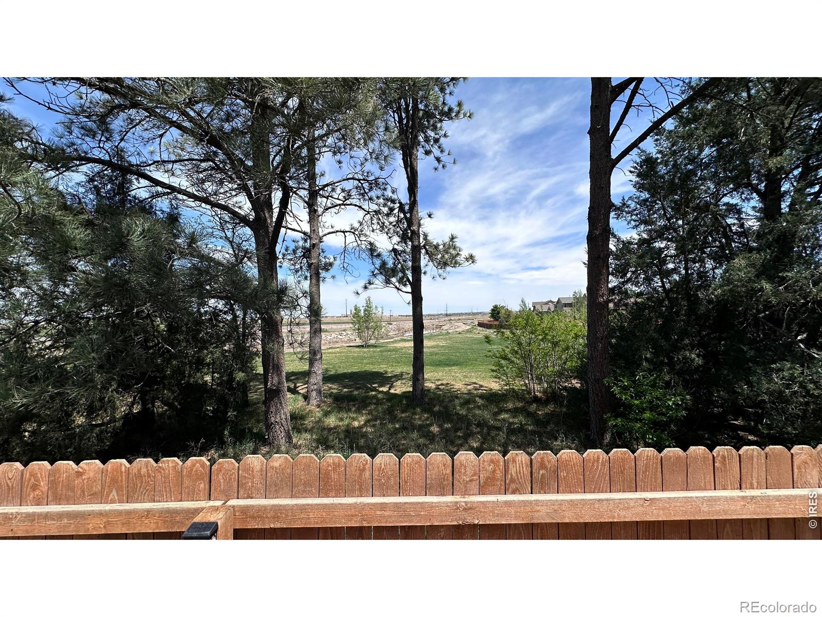 MLS Image #15 for 3162  lower loop drive,fort collins, Colorado