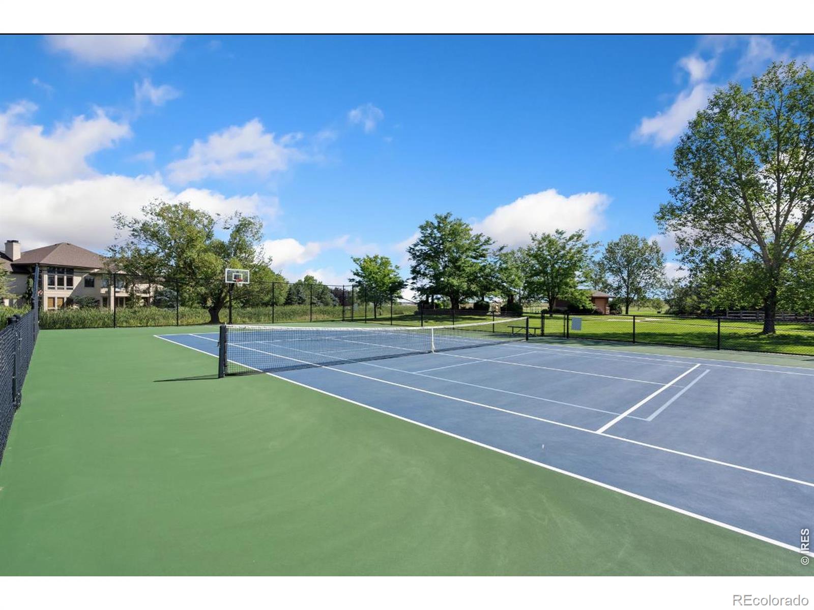 MLS Image #42 for 3905  raptor court,fort collins, Colorado