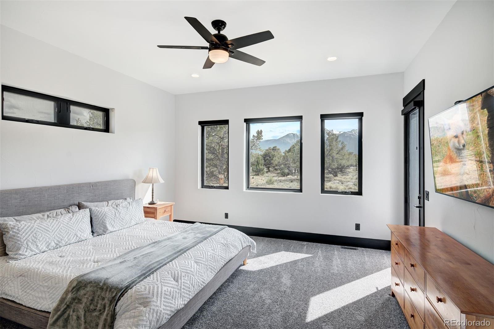 MLS Image #30 for 29951  teal run,buena vista, Colorado