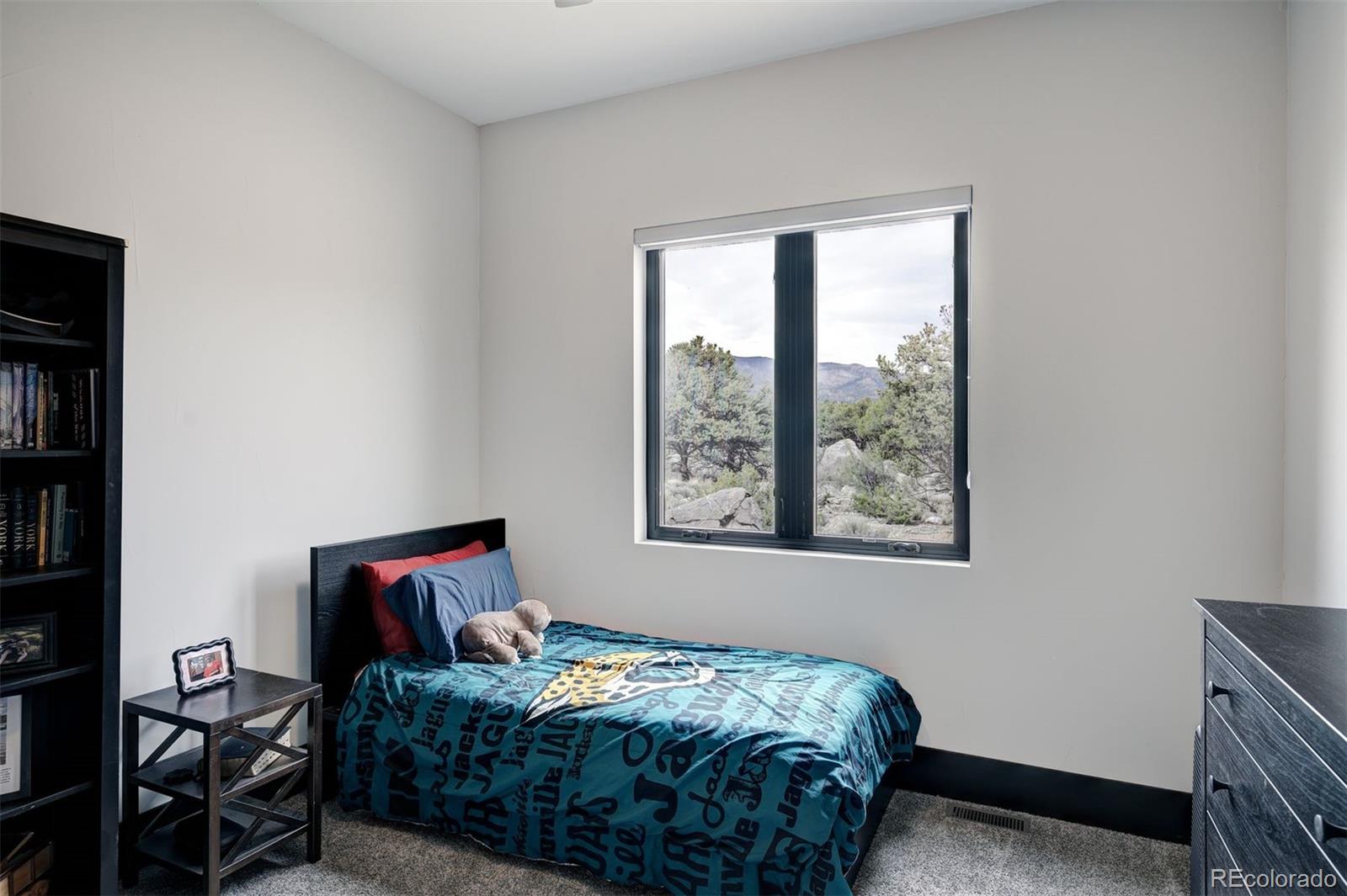 MLS Image #38 for 29951  teal run,buena vista, Colorado