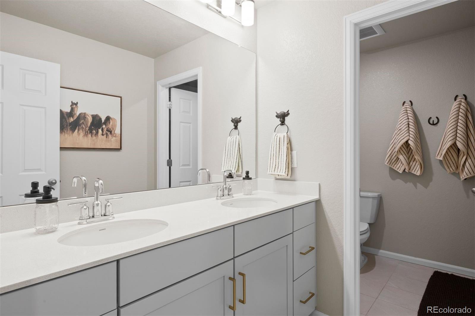 MLS Image #25 for 13548  tree sparrow lane,parker, Colorado