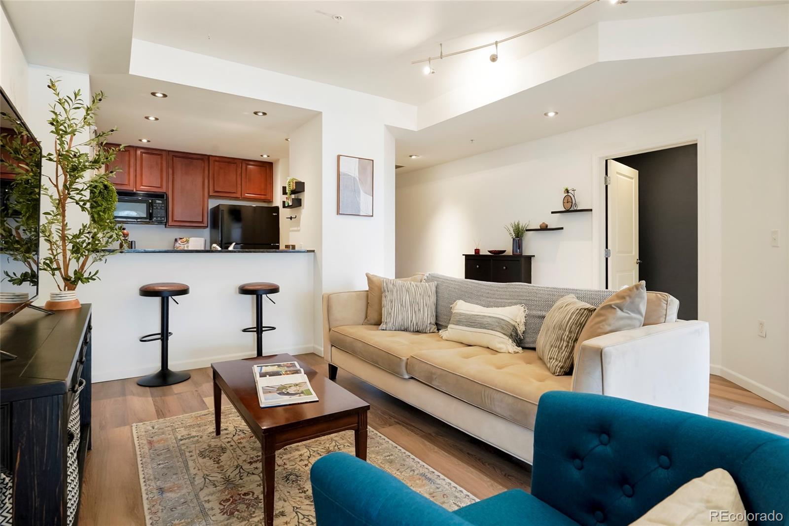 MLS Image #8 for 925 n lincoln street,denver, Colorado