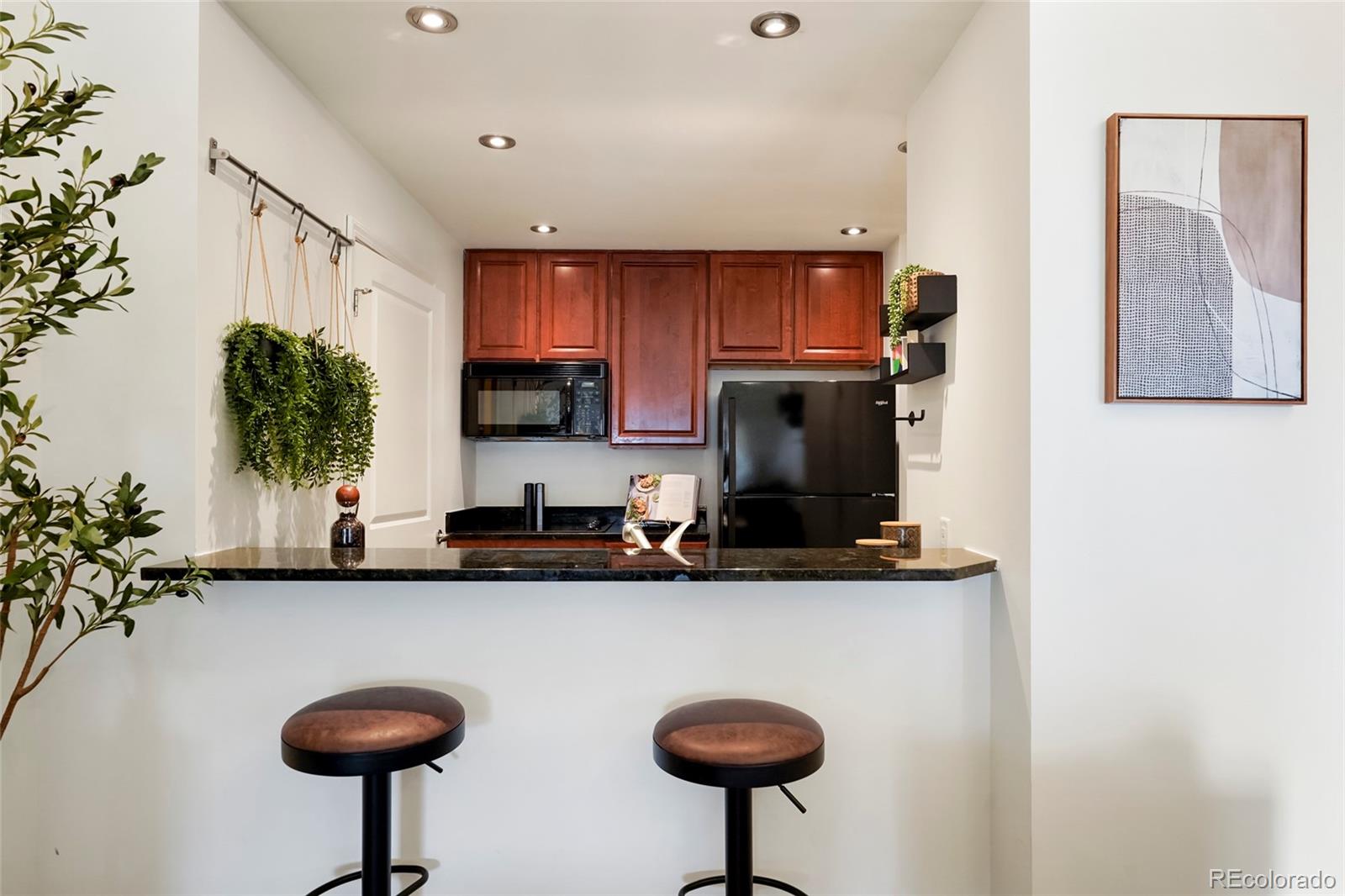 MLS Image #9 for 925 n lincoln street,denver, Colorado