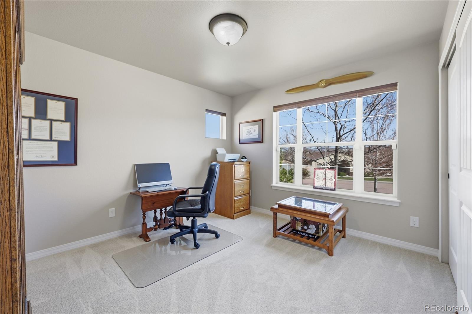 MLS Image #17 for 6245  mount ouray drive,colorado springs, Colorado