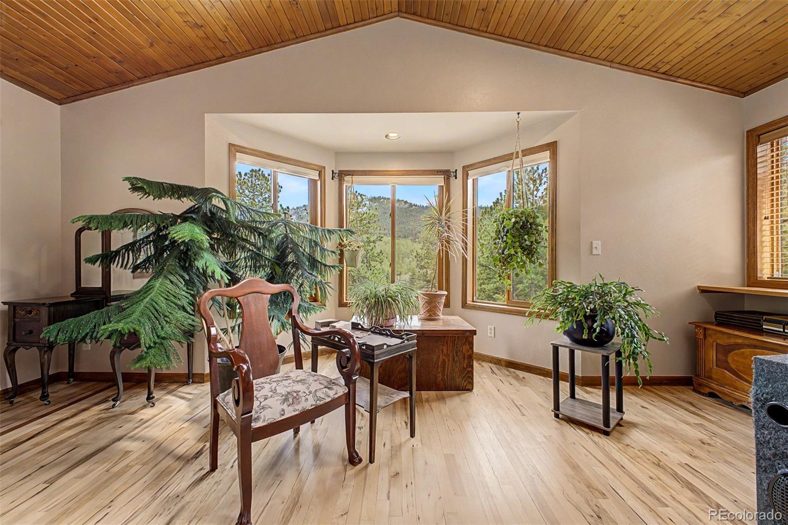 MLS Image #19 for 33478  valley view drive,evergreen, Colorado