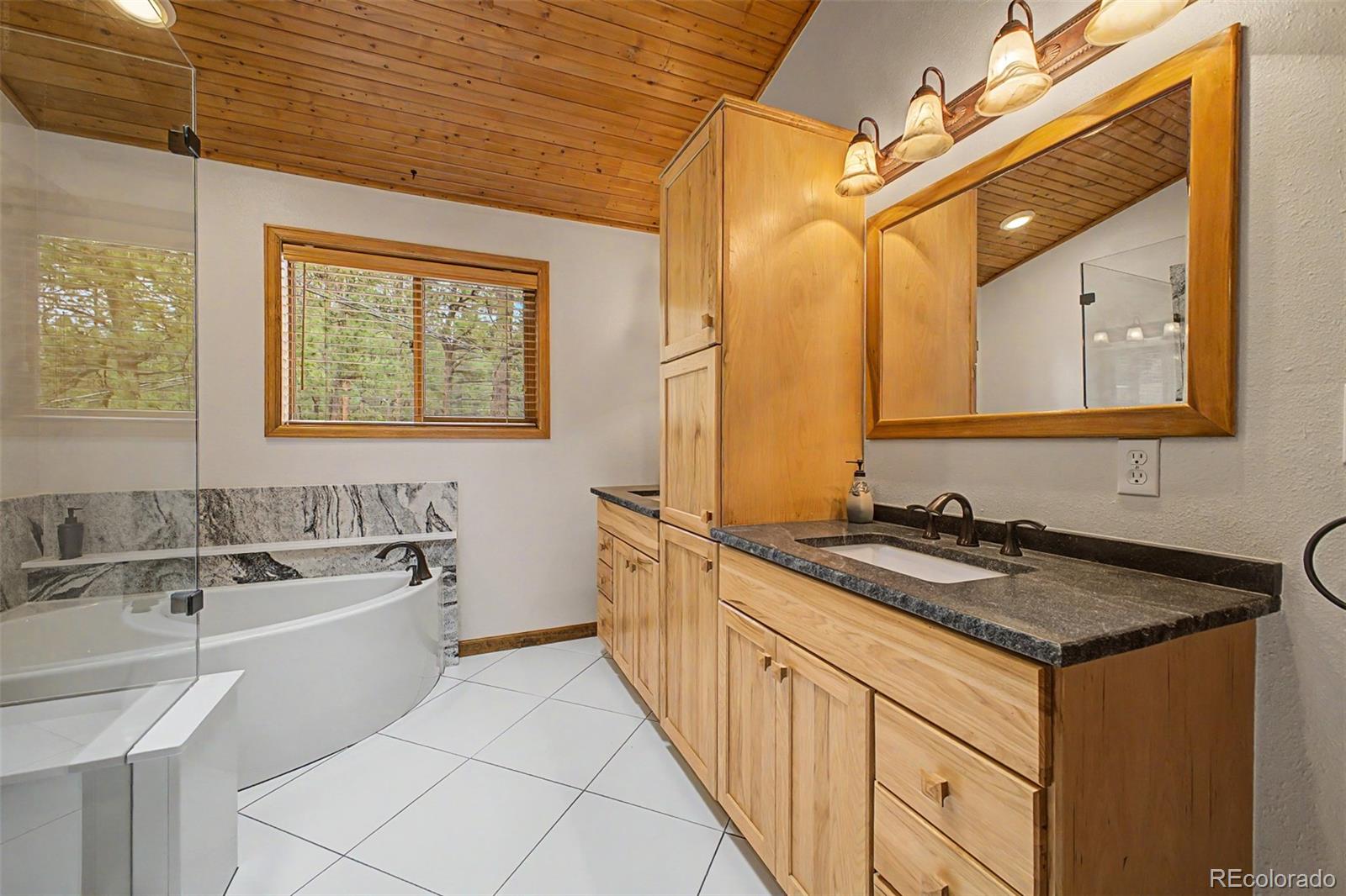 MLS Image #20 for 33478  valley view drive,evergreen, Colorado