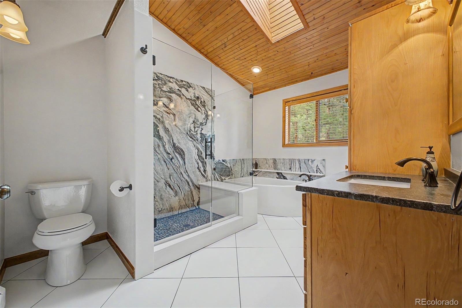 MLS Image #22 for 33478  valley view drive,evergreen, Colorado