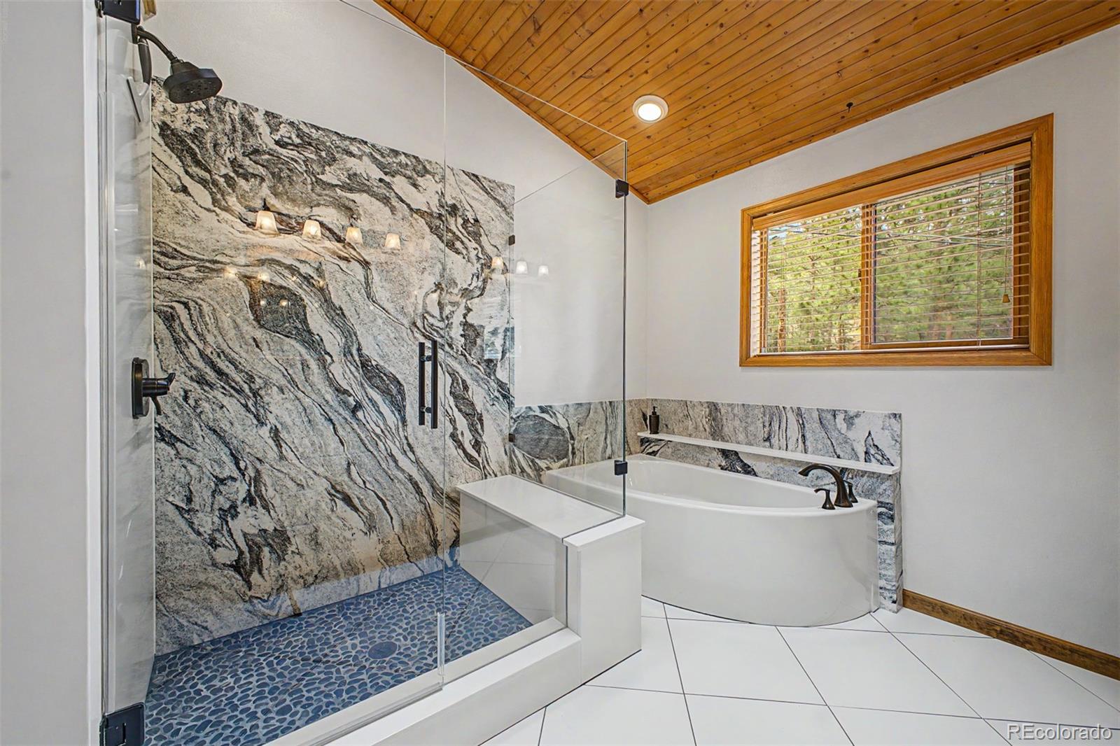 MLS Image #23 for 33478  valley view drive,evergreen, Colorado