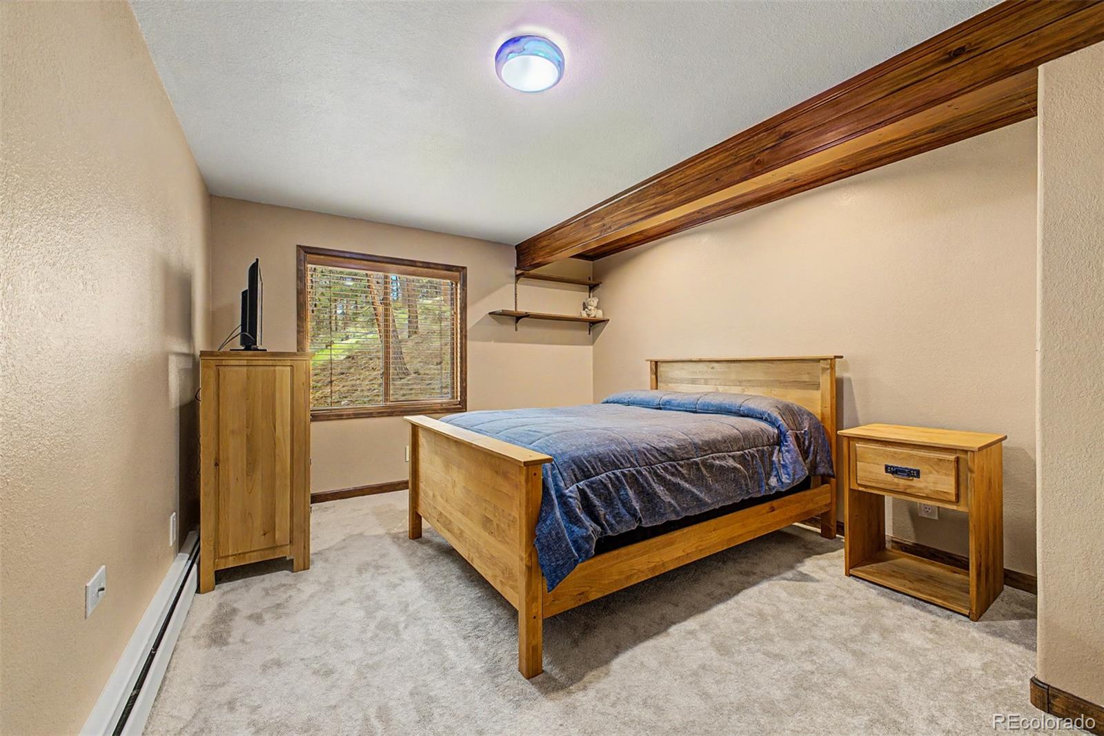 MLS Image #24 for 33478  valley view drive,evergreen, Colorado