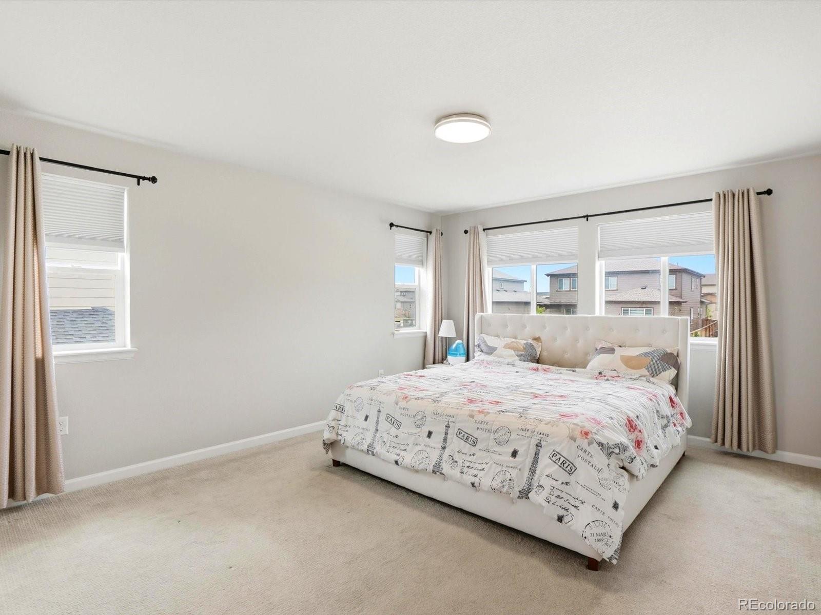 MLS Image #20 for 10863  hayloft street,parker, Colorado