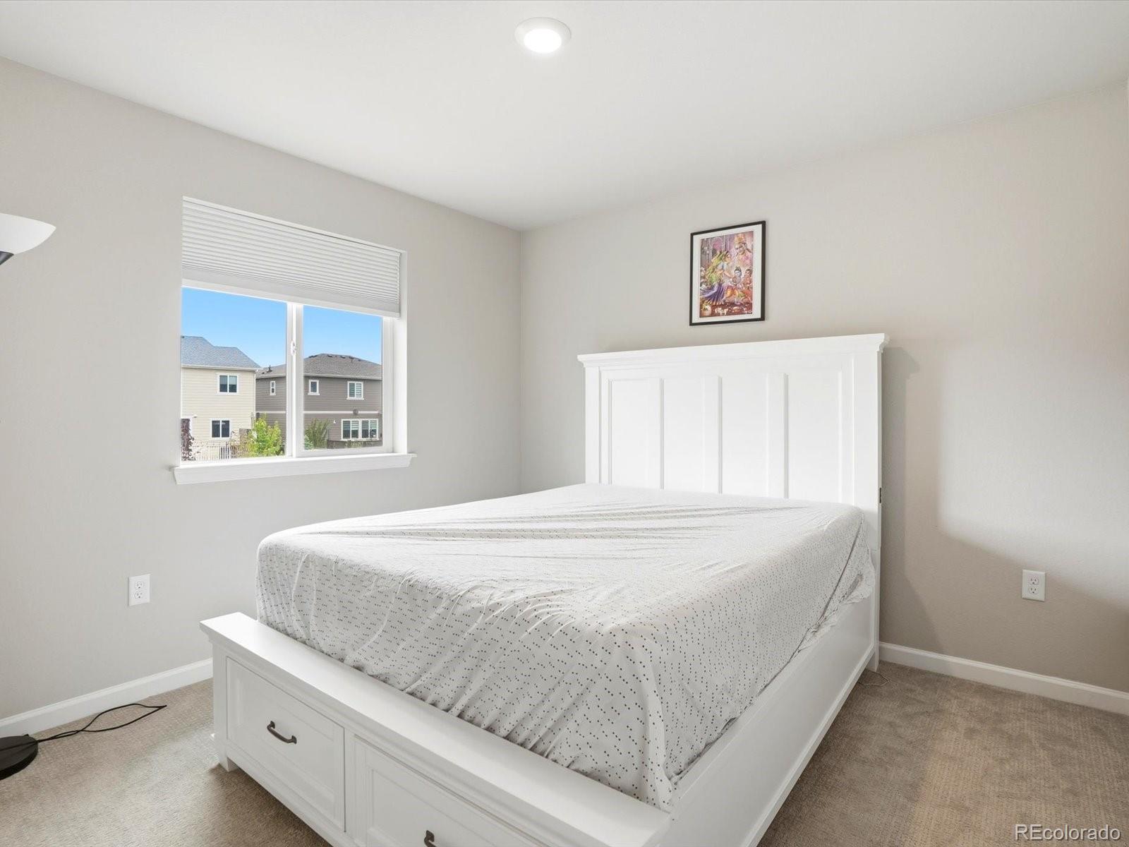 MLS Image #26 for 10863  hayloft street,parker, Colorado
