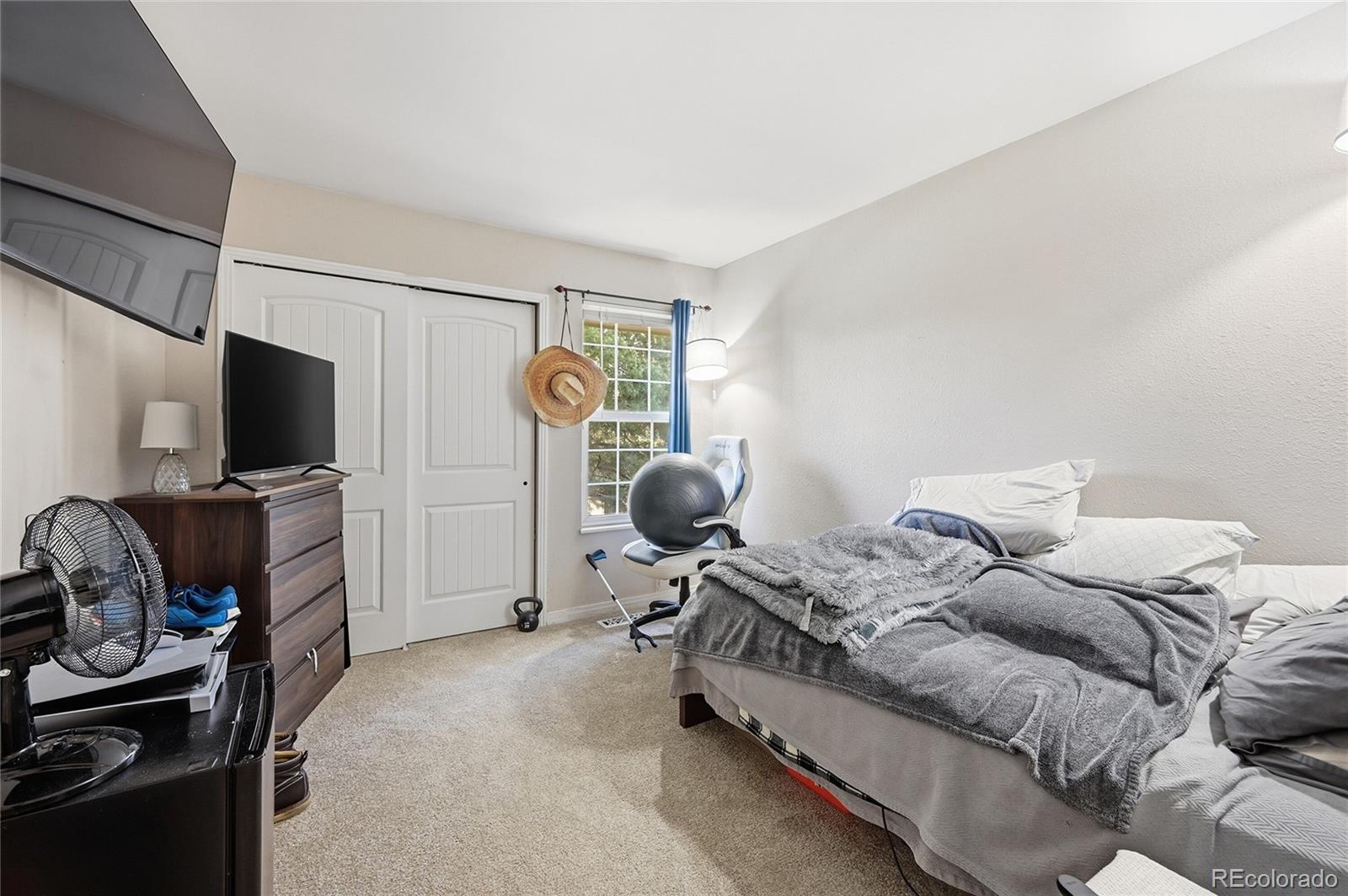 MLS Image #16 for 3465 s ammons street,lakewood, Colorado