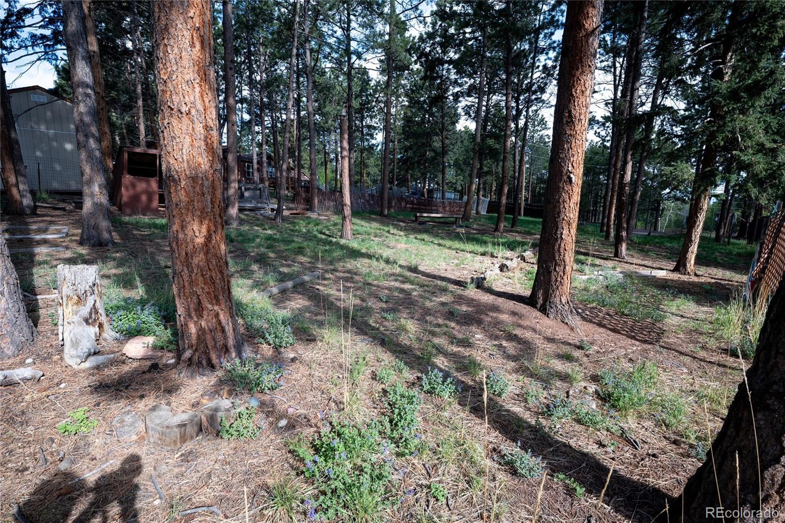 MLS Image #31 for 604  whispering winds drive,woodland park, Colorado