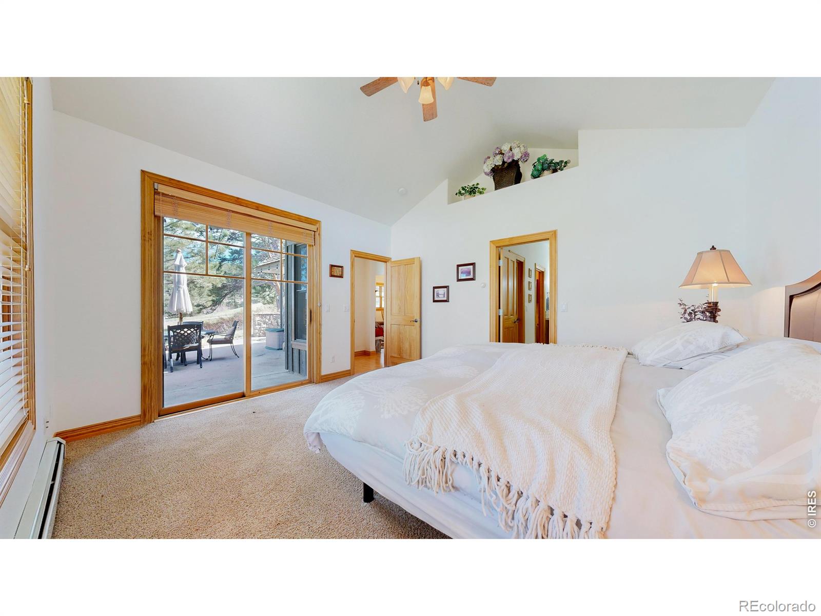 MLS Image #12 for 326  juniper court,red feather lakes, Colorado