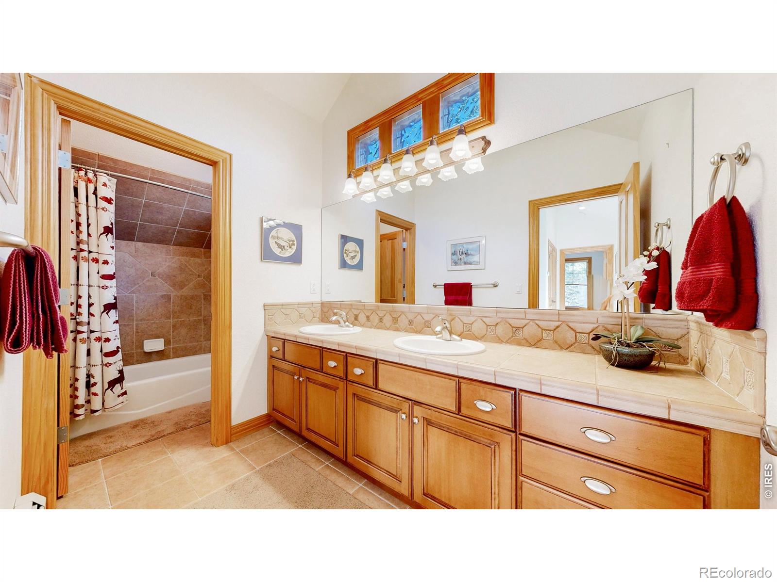 MLS Image #18 for 326  juniper court,red feather lakes, Colorado