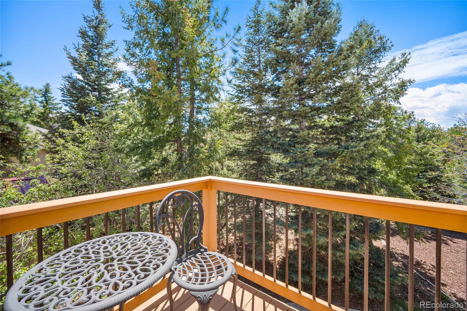 MLS Image #45 for 17805  fairplay way,monument, Colorado