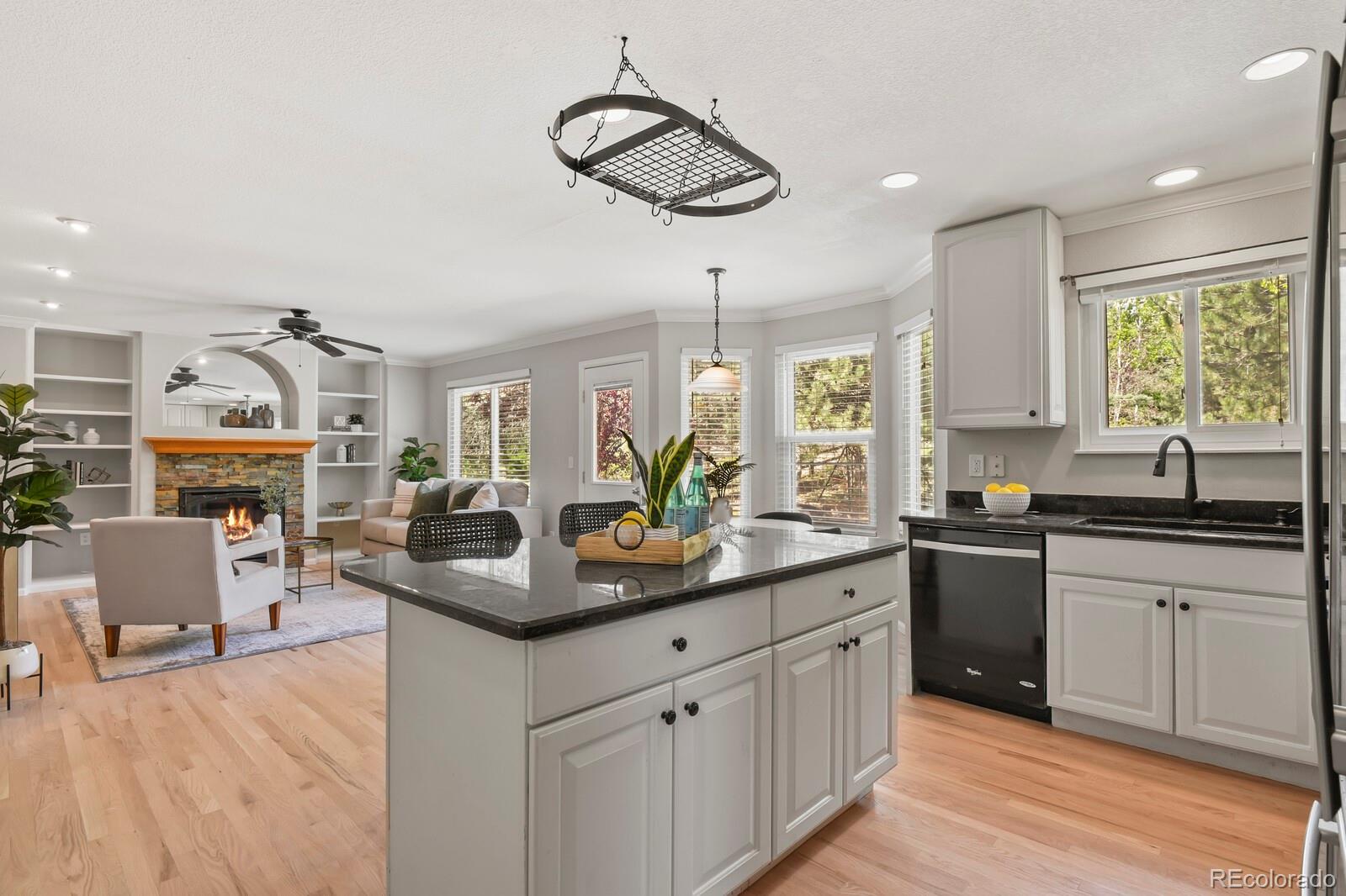 MLS Image #10 for 20781  parker vista circle,parker, Colorado