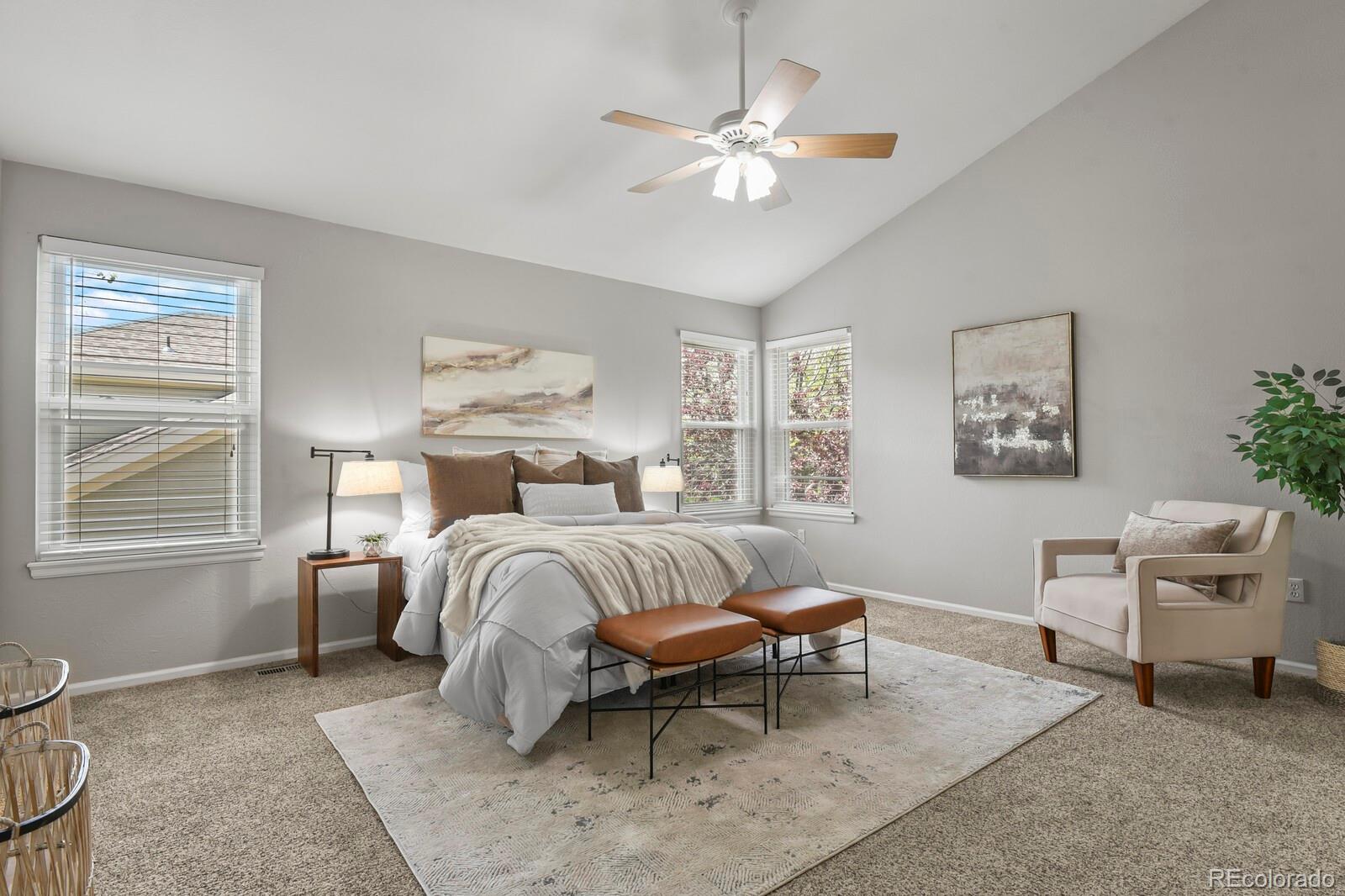 MLS Image #21 for 20781  parker vista circle,parker, Colorado