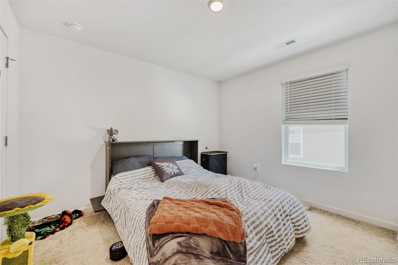 MLS Image #29 for 18379  field mint point,parker, Colorado